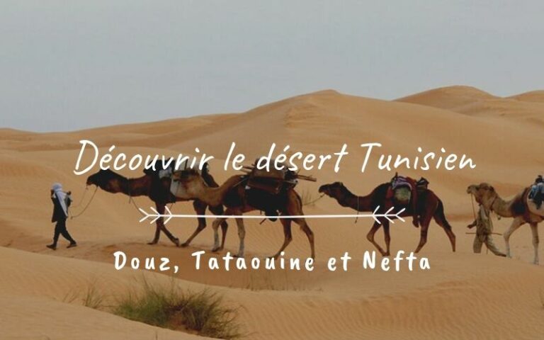 Excursion Tozeur : Découvrez le Joyau du Désert Tunisien Si vous rêvez d'évasion, d'aventure et de découvertes inoubliables, notre excursion à Tozeur est faite pour vous. Plongez au cœur du désert tunisien et explorez les merveilles de cette région fascinante. Laissez-nous vous emmener dans un voyage où la nature spectaculaire et la culture envoûtante se rencontrent pour créer des souvenirs durables. À la Découverte de Tozeur Bienvenue à Tozeur, une oasis nichée au milieu des dunes dorées du désert. Notre excursion vous fera découvrir la beauté unique de cette ville pittoresque. De la médina traditionnelle aux ruelles étroites, en passant par les palmeraies luxuriantes, chaque coin de Tozeur raconte une histoire fascinante. Explorez les Palmeraies à Dos de Chameau L'une des expériences les plus mémorables de notre excursion est la promenade à dos de chameau à travers les palmeraies de Tozeur. Installez-vous confortablement et laissez-vous bercer par le rythme paisible de ces majestueux animaux. Les palmiers se dressent autour de vous, créant une atmosphère sereine et enchanteresse. Une expérience à la fois authentique et apaisante. Plongez dans l'Histoire à Dar Chrait Notre itinéraire vous mènera également à Dar Chrait, un musée vivant qui vous transporte dans le temps. Les expositions présentent des objets et des artefacts traditionnels qui vous permettent de mieux comprendre le mode de vie des habitants du désert. Cette immersion dans l'histoire locale est une occasion unique de découvrir la culture de Tozeur sous un nouvel angle. Laissez-vous Émerveiller par les Cascades d'Ong Jmal Les cascades d'Ong Jmal sont un véritable trésor caché dans le désert. Leur beauté naturelle et rafraîchissante contraste avec l'aridité environnante. Profitez d'une balade revigorante jusqu'aux cascades et offrez-vous un moment de détente sous les chutes d'eau. C'est une expérience à la fois rafraîchissante et apaisante, parfaite pour échapper à la chaleur du désert. Goûtez aux Saveurs Authentiques La cuisine de Tozeur est un mélange délicieux de saveurs locales et de traditions culinaires anciennes. Au cœur de notre excursion, vous aurez l'occasion de déguster des plats traditionnels préparés avec soin par les habitants. De délicieux tajines aux pâtisseries sucrées, chaque bouchée est une invitation à découvrir la culture tunisienne à travers ses saveurs uniques. Une Aventure Inoubliable Vous Attend Notre équipe expérimentée se consacre à rendre votre excursion à Tozeur inoubliable. Chaque détail est pris en charge pour que vous puissiez vous concentrer sur l'exploration et la découverte. Des guides locaux passionnés vous accompagneront tout au long du voyage, partageant leur connaissance intime de la région et vous garantissant une expérience enrichissante. Réservez Votre Place Dès Maintenant Ne laissez pas cette opportunité unique vous échapper. Réservez dès maintenant votre place pour notre excursion à Tozeur et préparez-vous à une aventure captivante. Plongez dans la culture, la nature et l'histoire du désert tunisien et créez des souvenirs qui dureront toute une vie. Nous avons hâte de vous accueillir dans cette aventure extraordinaire.