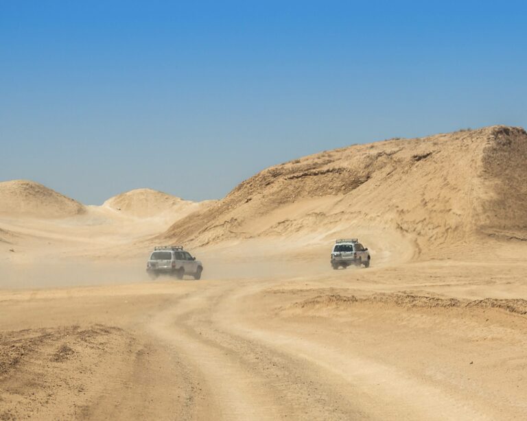 Circuit Sud Tunisie : Quatre Jours et Trois Nuitées d'Émerveillement Si l'idée de vivre une aventure inoubliable à travers les paysages époustouflants du Sud de la Tunisie vous fait vibrer, préparez-vous à plonger dans notre circuit de quatre jours et trois nuitées qui promet de vous laisser des souvenirs gravés dans le cœur et l'âme. Jour 1 : En Route Vers l'Évasion Matin : Le Départ Énergique Une aventure extraordinaire commence dès que nous quittons les rues animées de Tunis. Nos cœurs sont emplis d'anticipation et d'excitation alors que nous nous dirigeons vers le désert. Asseyez-vous, détendez-vous et laissez-vous emporter par la magie du voyage. Midi : Festin de Saveurs Une halte gourmande dans une auberge locale ravit nos papilles avec des saveurs tunisiennes authentiques. Le couscous parfumé et les arômes épicés vous donnent un avant-goût des délices culinaires qui vous attendent. Après-midi : À la Conquête des Dunes Les dunes dorées s'étendent devant nous alors que nous plongeons au cœur du désert. Choisissez votre style d'exploration, que ce soit à dos de chameau ou à pied, et laissez-vous submerger par la grandeur des dunes et le silence du désert. Nuit : Les Étoiles en Spectacle Alors que le soleil se couche, le ciel s'embrase de milliers d'étoiles. Dans un campement berbère traditionnel, nous savourons un repas délicieux sous la voûte céleste. Les histoires des guides nous transportent dans un voyage à travers le temps. Jour 2 : Odyssée Oasis Matin : Le Lever Magique Le désert se réveille avec le lever du soleil, peignant les dunes de teintes dorées. Un petit-déjeuner revigorant nous attend, prêt à nous donner l'énergie nécessaire pour une journée pleine de découvertes. Matin à Midi : À la Découverte de l'Oasis L'oasis, véritable joyau au milieu du désert, nous accueille avec sa fraîcheur apaisante. Entre les palmiers et les eaux cristallines, nous plongeons dans un monde de verdure inattendu au cœur de l'aridité. Après-midi : Exploration et Émerveillement L'après-midi est réservé à l'exploration continue de l'oasis. Les sentiers sinueux nous mènent à des recoins cachés, et chaque coin offre une nouvelle vue à couper le souffle. Jour 3 : En Route du Retour Matin : Salut au Soleil Le lever du soleil dans le désert est une expérience inoubliable. Les dunes prennent vie sous les premiers rayons, créant un spectacle qui semble tout droit sorti d'un rêve. Matin à Midi : Dernières Flâneries Profitez de votre temps pour flâner dans l'oasis, capturez des souvenirs en photos et prenez le temps de vous immerger dans la sérénité de cet environnement unique. Après-midi : Le Retour en Douceur Le voyage de retour commence, empreint de souvenirs inestimables et d'une nouvelle appréciation pour la beauté de la Tunisie. Conclusion : Un Voyage Inoubliable Notre circuit de quatre jours et trois nuitées dans le Sud de la Tunisie est bien plus qu'une simple escapade. C'est une aventure qui éveille les sens, nourrit l'âme et laisse des souvenirs durables. Préparez-vous à vous émerveiller, à explorer et à créer des moments qui resteront avec vous pour toujours.