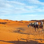 Vous rêvez d'aventure, de vastes étendues de dunes dorées à perte de vue, et d'une immersion dans une culture riche et authentique ? Ne cherchez plus ! Laissez-nous vous guider à travers une expérience unique : une excursion inoubliable dans le Sahara tunisien. Au cœur de l'Afrique du Nord, la Tunisie cache un trésor naturel exceptionnel qui ne demande qu'à être découvert. Voici tout ce que vous devez savoir sur cette aventure captivante qui restera gravée dans vos souvenirs. À la conquête des dunes : L'Exploration du Sahara Imaginez-vous chevauchant doucement à dos de chameau, le soleil se levant à l'horizon, créant un tableau spectaculaire de couleurs chaudes et vibrantes. L'excursion au Sahara tunisien vous offre cette opportunité époustouflante. Partez à la conquête des dunes majestueuses qui semblent toucher le ciel. Rencontrez le Berbère : Gardiens du Désert Au cœur de cette aventure, il y a une rencontre authentique avec le peuple berbère, les gardiens historiques du désert. Plongez dans leur mode de vie séculaire, apprenez leurs coutumes et partagez des moments uniques autour d'un feu de camp. Le Sahara n'est pas seulement un paysage, mais une terre de cultures et de traditions riches. Émerveillement Nocturne : Sous les Étoiles du Sahara L'une des expériences les plus captivantes de votre voyage au Sahara tunisien est sans aucun doute la nuit sous les étoiles. Loin des lumières urbaines, vous serez émerveillé par la clarté du ciel étoilé. Allongez-vous sur les dunes, observez les constellations et laissez-vous emporter par la magie de l'univers. Campement Traditionnel : Confort au Cœur du Désert Votre confort est notre priorité, même au cœur du désert. Profitez d'un campement traditionnel soigneusement aménagé pour une nuit paisible sous les étoiles. Des repas savoureux préparés avec amour vous seront servis, mettant en avant les saveurs authentiques de la cuisine locale. L'Oasis Enchanteresse : Rafraîchissement au Milieu des Sables Au milieu de l'immensité désertique, une oasis surgit tel un mirage : un coin de verdure luxuriante qui contraste avec le sable doré. Plongez dans des eaux cristallines, reposez-vous à l'ombre des palmiers et ressentez la fraîcheur revitalisante de cet endroit enchanteur. Rencontres Mémorables : Partagez et Échangez Les rencontres avec les habitants locaux et les autres voyageurs sont au cœur de cette expérience. Partagez des histoires, échangez des sourires et créez des liens durables avec des personnes venant de tous les horizons. Le Sahara réunit les âmes avides d'aventure et de découverte. Réservez Votre Aventure Dès Maintenant Ne manquez pas l'opportunité de vivre cette aventure exceptionnelle dans le Sahara tunisien. Réservez dès maintenant votre excursion pour plonger dans une expérience qui mêle exploration, découverte culturelle et émerveillement naturel. Laissez-nous être votre guide pour une aventure que vous chérirez pour toujours.