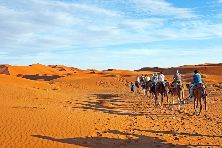 Vous rêvez d'aventure, de vastes étendues de dunes dorées à perte de vue, et d'une immersion dans une culture riche et authentique ? Ne cherchez plus ! Laissez-nous vous guider à travers une expérience unique : une excursion inoubliable dans le Sahara tunisien. Au cœur de l'Afrique du Nord, la Tunisie cache un trésor naturel exceptionnel qui ne demande qu'à être découvert. Voici tout ce que vous devez savoir sur cette aventure captivante qui restera gravée dans vos souvenirs. À la conquête des dunes : L'Exploration du Sahara Imaginez-vous chevauchant doucement à dos de chameau, le soleil se levant à l'horizon, créant un tableau spectaculaire de couleurs chaudes et vibrantes. L'excursion au Sahara tunisien vous offre cette opportunité époustouflante. Partez à la conquête des dunes majestueuses qui semblent toucher le ciel. Rencontrez le Berbère : Gardiens du Désert Au cœur de cette aventure, il y a une rencontre authentique avec le peuple berbère, les gardiens historiques du désert. Plongez dans leur mode de vie séculaire, apprenez leurs coutumes et partagez des moments uniques autour d'un feu de camp. Le Sahara n'est pas seulement un paysage, mais une terre de cultures et de traditions riches. Émerveillement Nocturne : Sous les Étoiles du Sahara L'une des expériences les plus captivantes de votre voyage au Sahara tunisien est sans aucun doute la nuit sous les étoiles. Loin des lumières urbaines, vous serez émerveillé par la clarté du ciel étoilé. Allongez-vous sur les dunes, observez les constellations et laissez-vous emporter par la magie de l'univers. Campement Traditionnel : Confort au Cœur du Désert Votre confort est notre priorité, même au cœur du désert. Profitez d'un campement traditionnel soigneusement aménagé pour une nuit paisible sous les étoiles. Des repas savoureux préparés avec amour vous seront servis, mettant en avant les saveurs authentiques de la cuisine locale. L'Oasis Enchanteresse : Rafraîchissement au Milieu des Sables Au milieu de l'immensité désertique, une oasis surgit tel un mirage : un coin de verdure luxuriante qui contraste avec le sable doré. Plongez dans des eaux cristallines, reposez-vous à l'ombre des palmiers et ressentez la fraîcheur revitalisante de cet endroit enchanteur. Rencontres Mémorables : Partagez et Échangez Les rencontres avec les habitants locaux et les autres voyageurs sont au cœur de cette expérience. Partagez des histoires, échangez des sourires et créez des liens durables avec des personnes venant de tous les horizons. Le Sahara réunit les âmes avides d'aventure et de découverte. Réservez Votre Aventure Dès Maintenant Ne manquez pas l'opportunité de vivre cette aventure exceptionnelle dans le Sahara tunisien. Réservez dès maintenant votre excursion pour plonger dans une expérience qui mêle exploration, découverte culturelle et émerveillement naturel. Laissez-nous être votre guide pour une aventure que vous chérirez pour toujours.