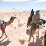 Excursion Tozeur : Découvrez le Charme Intemporel du Désert Tunisien Si vous êtes à la recherche d'une aventure hors du commun, ne cherchez pas plus loin que notre excursion à Tozeur, une expérience qui vous plongera au cœur des mystères envoûtants du désert tunisien. À la Rencontre de Tozeur Laissez-nous vous emmener dans un voyage captivant à travers les paysages époustouflants de Tozeur, une ville oasis située dans le sud-ouest de la Tunisie. Connue pour ses palmeraies luxuriantes et son architecture traditionnelle en terre, Tozeur offre une escapade exotique qui éveillera tous vos sens. Les Mille et Une Dunes Le désert tunisien vous ouvre les bras avec ses dunes ondulantes à perte de vue. Notre excursion vous offre l'opportunité unique de parcourir ces formations majestueuses, de sentir le sable fin glisser entre vos doigts et d'admirer des couchers de soleil spectaculaires. Chaque dune cache une histoire vieille de milliers d'années, prête à être découverte. Plongez dans l'Héritage Culturel Notre équipe vous invite à vous immerger dans l'héritage riche et varié de Tozeur. Des visites guidées vous mèneront à travers des souks traditionnels où vous pourrez vous imprégner des parfums envoûtants des épices locales et admirer l'artisanat traditionnel, des tapis aux poteries. Une opportunité unique de ramener chez vous un morceau d'histoire tunisienne. Un Festin pour les Sens Lors de votre excursion à Tozeur, préparez-vous à être choyé par la cuisine tunisienne. Des saveurs authentiques, des épices envoûtantes et des plats qui racontent l'histoire du pays. Des repas en plein air sous les étoiles aux dîners dans des maisons locales, chaque bouchée vous rapprochera davantage de la culture tunisienne. Aventure au Cœur du Désert Si vous êtes avide d'adrénaline, notre excursion à Tozeur a quelque chose pour vous aussi. Montez à dos de chameau et laissez-vous emporter par la sérénité tranquille de ces animaux majestueux. Pour les plus audacieux, le sandboarding sur les dunes est une expérience à ne pas manquer, offrant une montée d'adrénaline au milieu de paysages époustouflants. Organisation Sans Stress Laissez les tracas de la logistique entre nos mains expertes. Nous prenons en charge tous les détails, du transport aux hébergements confortables, pour que vous puissiez vous concentrer sur l'exploration et la découverte. Plus besoin de se soucier des réservations ou des itinéraires compliqués – laissez-nous vous guider à travers cette aventure inoubliable. Réservez Votre Aventure Dès Maintenant Ne laissez pas cette occasion de découvrir Tozeur et le désert tunisien vous échapper. Réservez dès maintenant votre excursion avec nous et préparez-vous à une aventure qui vous transportera dans un monde d'émerveillement, d'authenticité et de découverte. Nous sommes là pour vous accompagner dans cette aventure extraordinaire et vous offrir des souvenirs qui dureront toute une vie.