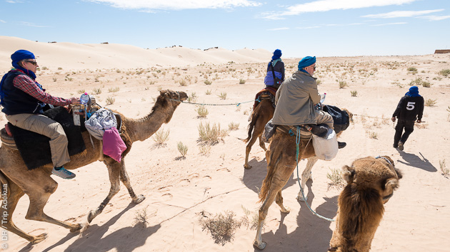 Excursion Tozeur : Découvrez le Charme Intemporel du Désert Tunisien Si vous êtes à la recherche d'une aventure hors du commun, ne cherchez pas plus loin que notre excursion à Tozeur, une expérience qui vous plongera au cœur des mystères envoûtants du désert tunisien. À la Rencontre de Tozeur Laissez-nous vous emmener dans un voyage captivant à travers les paysages époustouflants de Tozeur, une ville oasis située dans le sud-ouest de la Tunisie. Connue pour ses palmeraies luxuriantes et son architecture traditionnelle en terre, Tozeur offre une escapade exotique qui éveillera tous vos sens. Les Mille et Une Dunes Le désert tunisien vous ouvre les bras avec ses dunes ondulantes à perte de vue. Notre excursion vous offre l'opportunité unique de parcourir ces formations majestueuses, de sentir le sable fin glisser entre vos doigts et d'admirer des couchers de soleil spectaculaires. Chaque dune cache une histoire vieille de milliers d'années, prête à être découverte. Plongez dans l'Héritage Culturel Notre équipe vous invite à vous immerger dans l'héritage riche et varié de Tozeur. Des visites guidées vous mèneront à travers des souks traditionnels où vous pourrez vous imprégner des parfums envoûtants des épices locales et admirer l'artisanat traditionnel, des tapis aux poteries. Une opportunité unique de ramener chez vous un morceau d'histoire tunisienne. Un Festin pour les Sens Lors de votre excursion à Tozeur, préparez-vous à être choyé par la cuisine tunisienne. Des saveurs authentiques, des épices envoûtantes et des plats qui racontent l'histoire du pays. Des repas en plein air sous les étoiles aux dîners dans des maisons locales, chaque bouchée vous rapprochera davantage de la culture tunisienne. Aventure au Cœur du Désert Si vous êtes avide d'adrénaline, notre excursion à Tozeur a quelque chose pour vous aussi. Montez à dos de chameau et laissez-vous emporter par la sérénité tranquille de ces animaux majestueux. Pour les plus audacieux, le sandboarding sur les dunes est une expérience à ne pas manquer, offrant une montée d'adrénaline au milieu de paysages époustouflants. Organisation Sans Stress Laissez les tracas de la logistique entre nos mains expertes. Nous prenons en charge tous les détails, du transport aux hébergements confortables, pour que vous puissiez vous concentrer sur l'exploration et la découverte. Plus besoin de se soucier des réservations ou des itinéraires compliqués – laissez-nous vous guider à travers cette aventure inoubliable. Réservez Votre Aventure Dès Maintenant Ne laissez pas cette occasion de découvrir Tozeur et le désert tunisien vous échapper. Réservez dès maintenant votre excursion avec nous et préparez-vous à une aventure qui vous transportera dans un monde d'émerveillement, d'authenticité et de découverte. Nous sommes là pour vous accompagner dans cette aventure extraordinaire et vous offrir des souvenirs qui dureront toute une vie.