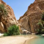 Excursion Oasis Sud Tunisie : Plongez dans un Paradis Caché L'excitation d'une aventure authentique, la sérénité des oasis et la magie du désert vous appellent. Préparez-vous à vivre une expérience inoubliable avec notre excursion Oasis Sud Tunisie. Dans cet article, nous vous dévoilons les merveilles cachées de cette escapade unique, où l'histoire, la nature et l'hospitalité fusionnent pour créer des souvenirs durables. Oasis Sud Tunisie : Un Joyau Dissimulé Lorsque l'on parle de la Tunisie, les images de plages magnifiques viennent souvent à l'esprit. Cependant, le Sud tunisien abrite des oasis secrètes qui attendent d'être découvertes. Au cœur de ces terres arides, vous trouverez des havres de verdure d'une beauté saisissante. Notre excursion Oasis Sud Tunisie vous mènera à travers un paysage de contraste, où les palmiers verdoyants se dressent fièrement au milieu des dunes de sable doré. Une Plongée dans l'Histoire L'histoire de ces oasis remonte à des siècles, avec des traces de civilisations anciennes qui ont su exploiter les ressources cachées dans ces oasis. Lors de votre excursion, vous explorerez des villages berbères traditionnels et découvrirez l'ingéniosité de ces communautés dans la préservation de l'eau et de la vie dans le désert. L'Oasis Comme un Sanctuaire Naturel L'oasis de Chebika vous accueille avec ses cascades cristallines et ses piscines naturelles. C'est un lieu de rafraîchissement et de sérénité, où le son apaisant de l'eau qui coule contraste avec l'aridité environnante. Vous pourrez vous baigner dans les eaux rafraîchissantes, vous relaxer à l'ombre des palmiers et savourer la beauté simple de la nature. Rencontres Chaleureuses et Goûts Authentiques Les habitants de ces oasis vous ouvriront leurs portes avec un sourire chaleureux. Vous serez invité à partager un thé à la menthe, un geste d'hospitalité qui transcende les barrières linguistiques. Vous aurez également l'opportunité de goûter à la cuisine locale, des plats simples et savoureux qui reflètent le mode de vie du désert. Conseils pour une Expérience Réussie Pour profiter pleinement de votre excursion Oasis Sud Tunisie, gardez à l'esprit ces astuces pratiques : 1. Préparez-vous pour l'Aventure Des chaussures confortables, un chapeau et de la crème solaire sont essentiels pour une expérience sans soucis. N'oubliez pas votre appareil photo pour capturer ces moments uniques. 2. Optez pour un Guide Local Engager un guide local vous permettra de découvrir les trésors cachés et d'obtenir des informations précieuses sur la région. Leurs connaissances enrichiront votre expérience. 3. Respectez l'Environnement et la Culture Soyez conscient de l'environnement fragile de l'oasis et respectez les coutumes locales. Cela garantira une expérience respectueuse et positive pour tous. Un Voyage vers l'Inattendu En conclusion, notre excursion Oasis Sud Tunisie est bien plus qu'un simple voyage. C'est une aventure qui vous transporte dans un autre monde, où la nature et la culture se mêlent pour créer une expérience unique. Des oasis pittoresques aux rencontres authentiques, chaque moment de cette escapade restera gravé dans votre mémoire. Préparez-vous à plonger dans un paradis caché et à découvrir la Tunisie d'une manière nouvelle et fascinante.