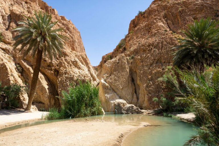 Excursion Oasis Sud Tunisie : Plongez dans un Paradis Caché L'excitation d'une aventure authentique, la sérénité des oasis et la magie du désert vous appellent. Préparez-vous à vivre une expérience inoubliable avec notre excursion Oasis Sud Tunisie. Dans cet article, nous vous dévoilons les merveilles cachées de cette escapade unique, où l'histoire, la nature et l'hospitalité fusionnent pour créer des souvenirs durables. Oasis Sud Tunisie : Un Joyau Dissimulé Lorsque l'on parle de la Tunisie, les images de plages magnifiques viennent souvent à l'esprit. Cependant, le Sud tunisien abrite des oasis secrètes qui attendent d'être découvertes. Au cœur de ces terres arides, vous trouverez des havres de verdure d'une beauté saisissante. Notre excursion Oasis Sud Tunisie vous mènera à travers un paysage de contraste, où les palmiers verdoyants se dressent fièrement au milieu des dunes de sable doré. Une Plongée dans l'Histoire L'histoire de ces oasis remonte à des siècles, avec des traces de civilisations anciennes qui ont su exploiter les ressources cachées dans ces oasis. Lors de votre excursion, vous explorerez des villages berbères traditionnels et découvrirez l'ingéniosité de ces communautés dans la préservation de l'eau et de la vie dans le désert. L'Oasis Comme un Sanctuaire Naturel L'oasis de Chebika vous accueille avec ses cascades cristallines et ses piscines naturelles. C'est un lieu de rafraîchissement et de sérénité, où le son apaisant de l'eau qui coule contraste avec l'aridité environnante. Vous pourrez vous baigner dans les eaux rafraîchissantes, vous relaxer à l'ombre des palmiers et savourer la beauté simple de la nature. Rencontres Chaleureuses et Goûts Authentiques Les habitants de ces oasis vous ouvriront leurs portes avec un sourire chaleureux. Vous serez invité à partager un thé à la menthe, un geste d'hospitalité qui transcende les barrières linguistiques. Vous aurez également l'opportunité de goûter à la cuisine locale, des plats simples et savoureux qui reflètent le mode de vie du désert. Conseils pour une Expérience Réussie Pour profiter pleinement de votre excursion Oasis Sud Tunisie, gardez à l'esprit ces astuces pratiques : 1. Préparez-vous pour l'Aventure Des chaussures confortables, un chapeau et de la crème solaire sont essentiels pour une expérience sans soucis. N'oubliez pas votre appareil photo pour capturer ces moments uniques. 2. Optez pour un Guide Local Engager un guide local vous permettra de découvrir les trésors cachés et d'obtenir des informations précieuses sur la région. Leurs connaissances enrichiront votre expérience. 3. Respectez l'Environnement et la Culture Soyez conscient de l'environnement fragile de l'oasis et respectez les coutumes locales. Cela garantira une expérience respectueuse et positive pour tous. Un Voyage vers l'Inattendu En conclusion, notre excursion Oasis Sud Tunisie est bien plus qu'un simple voyage. C'est une aventure qui vous transporte dans un autre monde, où la nature et la culture se mêlent pour créer une expérience unique. Des oasis pittoresques aux rencontres authentiques, chaque moment de cette escapade restera gravé dans votre mémoire. Préparez-vous à plonger dans un paradis caché et à découvrir la Tunisie d'une manière nouvelle et fascinante.