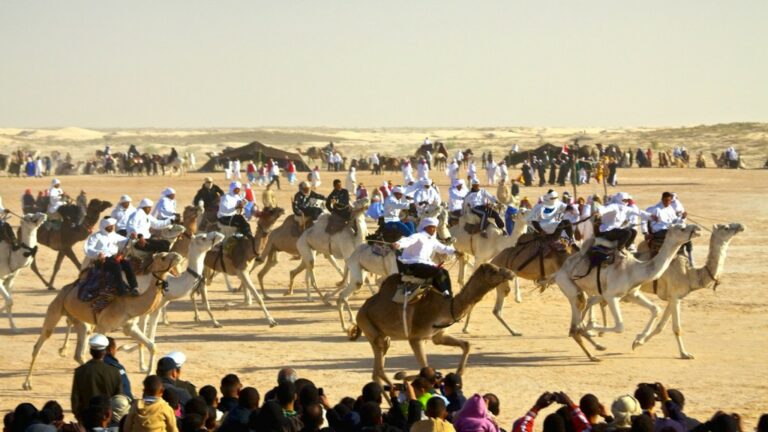 Festival Douz Sud Tunisie : Plongez dans une Expérience Culturelle Envoûtante Si vous êtes en quête d'une expérience culturelle immersive et inoubliable, ne cherchez pas plus loin que le Festival Douz Sud Tunisie. Ce festival captivant, ancré dans les traditions riches du sud de la Tunisie, est une célébration vibrante de la musique, de la danse et de l'artisanat qui vous transporte dans un monde de découvertes. Dans cet article, nous allons explorer les charmes uniques du Festival Douz Sud Tunisie et pourquoi vous devriez envisager de faire partie de cette célébration époustouflante. Le Festival Douz : Un Aperçu Enchanté Le Festival International du Sahara à Douz est un événement annuel qui attire des visiteurs du monde entier pour célébrer la culture fascinante du sud de la Tunisie. Nichée aux portes du désert du Sahara, la ville de Douz devient le théâtre d'une aventure culturelle extraordinaire. Le festival met en lumière les traditions bédouines séculaires, les rythmes envoûtants de la musique saharienne et l'artisanat raffiné qui font de cette région une destination unique. Une Célébration de la Musique et de la Danse L'une des facettes les plus enchanteresses du Festival Douz est sa mise en avant de la musique et de la danse traditionnelles. Des troupes locales et internationales se produisent sur scène, apportant une symphonie de sons captivants allant des chants bédouins aux mélodies contemporaines inspirées par le désert. Les spectateurs sont invités à danser au rythme de la musique, créant ainsi une atmosphère de joie partagée et d'unité. L'Artisanat qui Raconte des Histoires Le souk du festival est un véritable trésor pour les amateurs d'artisanat. Des étals colorés présentent une variété d'objets fabriqués à la main, allant des tapis berbères aux bijoux en argent exquis en passant par les poteries artistiques. Chaque pièce raconte une histoire unique de tradition et de savoir-faire. En achetant des articles au souk, vous soutenez également les artisans locaux et contribuez à la préservation de l'artisanat authentique. Une Saveur Culinaire Époustouflante La gastronomie joue un rôle central au Festival Douz Sud Tunisie. Les visiteurs ont l'opportunité de savourer une variété de plats délicieux, des couscous parfumés aux tajines riches en saveurs, en passant par les dattes sucrées qui sont une spécialité de la région. L'expérience de la cuisine saharienne est une immersion totale dans la culture locale et une célébration des délices culinaires du sud de la Tunisie. Plongez dans la Magie du Festival Douz Sud Tunisie En conclusion, le Festival Douz Sud Tunisie est bien plus qu'un simple événement. C'est une occasion de plonger dans la richesse de la culture saharienne, de créer des souvenirs durables et de se connecter avec des gens du monde entier. Que vous soyez un passionné de musique, un amateur d'art ou un aventurier en quête de nouvelles expériences, ce festival a quelque chose à offrir à tous. N'hésitez pas à ajouter le Festival Douz Sud Tunisie à votre liste de destinations à découvrir. Immergez-vous dans l'atmosphère enivrante de la musique, de la danse, de l'artisanat et de la cuisine qui font de cet événement une expérience culturelle extraordinaire. Préparez-vous à être transporté dans un monde de traditions et de festivités au cœur du désert, une expérience qui restera gravée dans votre mémoire pour toujours.