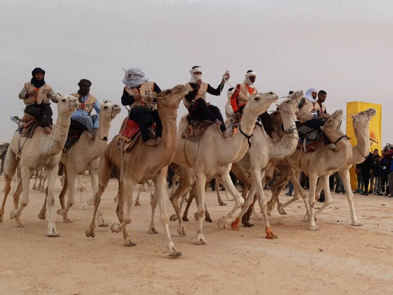 Si vous rêvez de partir à l'aventure dans le Sud tunisien avec www.sudtunisie.com sans vous ruiner, ne cherchez plus ! Notre excursion abordable vous permettra de plonger dans les merveilles du Sud de la Tunisie, le tout sans casser votre tirelire. Le Charme du Sud à Prix Doux Le Sud de la Tunisie avec www.sudtunisie.com est une destination incroyablement séduisante, mais cela ne signifie pas que vous devez dépenser une fortune pour en profiter. Avec notre excursion pas chère, vous aurez l'opportunité de découvrir les trésors du Sud sans vous soucier de votre budget. Itinéraire Malin Notre itinéraire bien pensé vous emmène à travers des paysages à couper le souffle, des oasis pittoresques, et des villes historiques, tout en respectant votre budget. Nous avons soigneusement sélectionné des options d'hébergement, de restauration et de transport qui vous offriront le meilleur rapport qualité prix. Profitez de l'Authenticité à Prix Raisonnable Lors de notre excursion abordable, vous aurez toujours la chance de vivre des expériences authentiques. Rencontrez les habitants, découvrez leur mode de vie, goûtez à une délicieuse cuisine locale, et explorez des marchés pittoresques, le tout sans vous ruiner. Un Voyage Inoubliable sans Se Ruiner Ne laissez pas les préoccupations financières vous empêcher de vivre une aventure inoubliable. Notre excursion avec www.sudtunisie.com pas chère dans le Sud tunisien vous garantit un voyage enrichissant sans épuiser votre porte-monnaie. Réservez Votre Place dès Aujourd'hui Ne manquez pas cette opportunité exceptionnelle de découvrir le Sud Tunisien à petit prix avec www.sudtunisie.com Réservez votre place dès aujourd'hui et préparez vous à vivre des moments magiques, à la rencontre d'une culture riche et de paysages à couper le souffle.