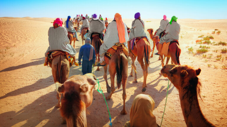 Vous rêvez de partir à la découverte de paysages époustouflants, de traditions séculaires, et d'une richesse culturelle unique ? Le Sud de la Tunisie est une destination qui saura répondre à toutes vos attentes. Notre excursion dans le Sud tunisien vous promet une aventure mémorable à travers des déserts, des oasis verdoyantes, et des cités historiques. Laissez-nous vous emmener dans un voyage inoubliable, où les merveilles de la Tunisie se dévoilent sous un soleil radieux. Les Dunes de Sable Infinies Le Sud de la Tunisie est célèbre pour ses dunes de sable sans fin, offrant un paysage d'une beauté à couper le souffle. Notre excursion vous permettra de vous immerger dans cette splendeur naturelle, notamment à travers une visite des dunes de Grand Erg Oriental. Vous serez émerveillé par les nuances dorées du sable, sculptées par les vents du Sahara, créant des formes uniques. Après une montée au sommet d'une dune, vous serez récompensé par une vue panoramique à couper le souffle, où le sable s'étend à perte de vue. Un moment magique, parfait pour des photographies inoubliables. Rencontres Authentiques Lors de notre excursion, nous mettons l'accent sur l'authenticité des rencontres avec les habitants. Vous découvrirez la chaleur et l'hospitalité des Tunisiens, partageant des moments uniques avec les communautés locales. Vous aurez l'occasion de goûter à une cuisine traditionnelle, préparée avec des ingrédients frais et locaux, dans une ambiance conviviale. Les échanges avec les habitants vous offriront un aperçu précieux de leur mode de vie, de leurs traditions, et de leur artisanat. Vous pourrez visiter des marchés locaux, explorer des villages berbères, et vous imprégner de la culture tunisienne de manière authentique. Les Secrets de l'Oasis de Tozeur L'oasis de Tozeur est un véritable trésor caché du Sud de la Tunisie. Lors de notre excursion, vous aurez la chance d'explorer cet endroit fascinant où la nature a su dompter le désert. Des palmiers majestueux se dressent fièrement au milieu de l'aridité, créant une atmosphère sereine et apaisante. Le musée de l'oasis vous plongera dans l'histoire de Tozeur, révélant ses secrets et ses légendes. Une balade en calèche à travers les ruelles de la médina vous permettra de découvrir des trésors architecturaux uniques. Les Ruines de Dougga Notre excursion dans le Sud tunisien ne serait pas complète sans une visite aux ruines de Dougga. Classé au patrimoine mondial de l'UNESCO, ce site archéologique est l'un des mieux conservés de l'Antiquité romaine. Vous serez émerveillé par les temples, les théâtres, et les thermes qui témoignent de la grandeur passée de la cité. Les guides locaux vous raconteront l'histoire de Dougga, vous transportant à l'époque où la cité était un important centre culturel et politique de la région. Une expérience enrichissante pour les amateurs d'histoire. Notre excursion dans le Sud de la Tunisie est bien plus qu'un simple voyage, c'est une immersion totale dans la beauté naturelle, culturelle, et historique de la région. Du désert du Sahara à l'oasis de Tozeur, en passant par les ruines de Dougga, chaque étape de notre voyage est une aventure unique. Laissez-vous séduire par la magie du Sud tunisien, par ses paysages à couper le souffle et par la générosité de ses habitants. Rejoignez-nous pour une expérience inoubliable qui marquera votre esprit et votre cœur.