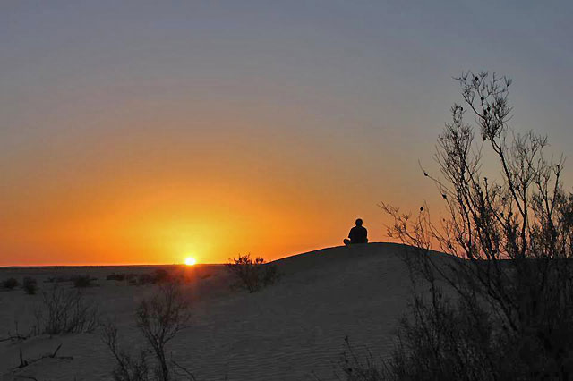 Vous rêvez d'une aventure inoubliable dans le vaste désert du Sahara, au cœur de la Tunisie ? Vous souhaitez explorer des paysages à couper le souffle, découvrir une culture riche et authentique, et vivre des moments uniques en compagnie de guides expérimentés ? L'agence www.sudtunisie.com est là pour réaliser vos rêves. Dans cet article, nous allons plonger au cœur de l'aventure tunisienne, explorer les trésors cachés du Sud de la Tunisie, et vous présenter comment l'agence www.sudtunisie.com peut vous offrir une expérience inoubliable. La Magie du Désert Tunisien Le désert du Sahara tunisien est une merveille naturelle à découvrir. Ses dunes majestueuses, ses oasis verdoyantes et ses montagnes arides créent un paysage à couper le souffle. C'est un endroit où le temps semble s'arrêter, vous permettant de vous échapper de la routine quotidienne et de vous immerger dans la beauté brute de la nature. Le désert saharien est bien plus qu'un simple lieu géographique ; c'est une expérience sensorielle inoubliable. Excursions Personnalisées L'agence www.sudtunisie.com se spécialise dans la création d'excursions et de circuits personnalisés pour répondre à vos besoins et à vos envies. Que vous souhaitiez partir à dos de chameau à travers les dunes, explorer des villes anciennes chargées d'histoire, ou passer une nuit sous les étoiles dans le désert, ils ont tout prévu. Leurs guides locaux connaissent la région comme leur poche et sont prêts à vous faire vivre une expérience authentique. Découverte Culturelle Le Sud de la Tunisie est riche en histoire et en culture. Vous aurez l'occasion de visiter des villages traditionnels, de goûter à la cuisine locale délicieuse, et de rencontrer des habitants chaleureux. Les artisans locaux vous dévoileront les secrets de leurs métiers séculaires, vous permettant de rapporter chez vous des souvenirs uniques et artisanaux. Confort et Sécurité Lorsque vous partez à l'aventure dans le désert, il est essentiel de vous sentir en sécurité et à l'aise. L'agence www.sudtunisie.com met un point d'honneur à offrir à ses clients un service de qualité, avec des véhicules tout-terrain bien entretenus, des camps bien équipés, et un personnel dévoué pour veiller à votre bien-être. Vous pourrez vous détendre et profiter de chaque moment de votre excursion en toute sérénité. Réservez Votre Aventure L'aventure de votre vie vous attend dans le Sud de la Tunisie. Pour réserver votre excursion ou votre circuit désert avec l'agence www.sudtunisie.com, il vous suffit de les contacter. Leur équipe dévouée vous guidera à travers les différentes options disponibles et vous aidera à planifier un voyage sur mesure qui correspond à vos attentes. Que vous soyez un voyageur solo, un couple en lune de miel, ou une famille en quête d'aventure, le Sud de la Tunisie a quelque chose à offrir à chacun. Conclusion Lorsque vous choisissez de voyager avec l'agence www.sudtunisie.com, vous choisissez l'authenticité, la découverte et l'aventure. Le Sud de la Tunisie est une destination unique qui ne demande qu'à être explorée, et cette agence est la clé pour en profiter pleinement. Préparez-vous à vivre des moments inoubliables et à créer des souvenirs durables lors de votre prochaine aventure dans le désert du Sahara tunisien. Réservez dès maintenant et préparez-vous à vivre une expérience exceptionnelle.