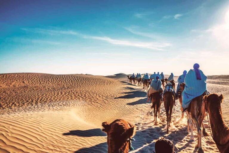 Vous avez toujours rêvé de partir en voyage vers le sud sans vous ruiner ? Nous comprenons à quel point il est important de trouver des options abordables pour explorer les destinations ensoleillées du sud. C'est pourquoi nous avons créé le circuit sud pas cher ultime, conçu spécialement pour les voyageurs soucieux de leur budget qui ne veulent pas sacrifier la qualité de leur expérience. Découvrez des Destinations Exotiques Sans Casser la Tirelire Partir en vacances ne devrait pas être un luxe réservé à quelques-uns. Notre circuit sud pas cher vous permet d'explorer des destinations exotiques sans vider votre compte en banque. Imaginez-vous bronzer sur les plages dorées de la Méditerranée, explorer les ruelles pittoresques des villes historiques ou vous aventurer dans la nature luxuriante de l'Amérique du Sud, le tout sans vous soucier de votre budget. Une Expérience de Voyage Authentique Nous croyons que voyager ne devrait pas se limiter à cocher des sites touristiques sur une liste. C'est pourquoi notre circuit sud pas cher est conçu pour offrir une expérience de voyage authentique. Vous vivrez la culture locale de près, goûterez à la cuisine traditionnelle et rencontrerez des habitants chaleureux qui partageront leurs histoires avec vous. Plongez-vous dans l'atmosphère envoûtante des marchés locaux, dansez au rythme de la musique traditionnelle et créez des souvenirs qui dureront toute une vie. Des Hébergements Confortables à Petit Prix Nous comprenons l'importance d'un bon hébergement pour rendre votre séjour agréable. C'est pourquoi nous avons sélectionné des hébergements confortables qui ne vous ruineront pas. Profitez de nuits paisibles dans des hôtels charmants, des auberges conviviales ou même des maisons d'hôtes pittoresques, le tout à un prix abordable. Vous n'aurez pas à sacrifier le confort pour économiser de l'argent. Des Activités Passionnantes Sans Frais Supplémentaires Lorsque vous réservez notre circuit sud pas cher, vous ne vous contentez pas d'obtenir un logement abordable. Nous incluons également une gamme d'activités passionnantes sans frais supplémentaires. Que vous soyez intéressé par des visites guidées, des excursions en pleine nature, des cours de cuisine locale ou des dégustations de vin, nous avons tout prévu. Vous pourrez explorer, apprendre et vous amuser, le tout sans dépasser votre budget. Réservez Votre Aventure Sud Pas Cher Dès Aujourd'hui ! Alors, pourquoi attendre ? Réservez votre circuit sud pas cher avec nous dès aujourd'hui et commencez à planifier l'aventure de toute une vie. Laissez-vous séduire par les charmes du sud sans vous soucier de votre portefeuille. Rejoignez-nous pour une expérience de voyage inoubliable qui ne vous laissera pas seulement des souvenirs mémorables, mais aussi un sourire radieux sur le visage.