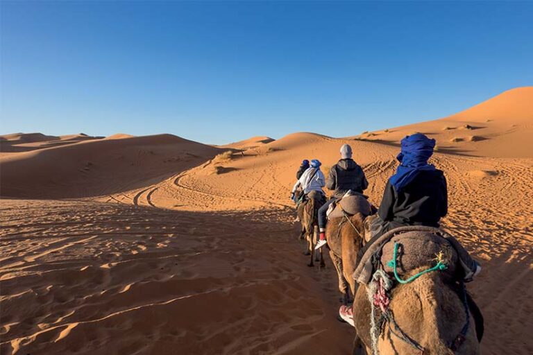 Si vous rêvez de découvrir la beauté envoûtante du Sahara en Tunisie, vous êtes au bon endroit ! Dans cet article, nous allons vous emmener à la découverte du désert tunisien grâce à SudTunisie.com, votre partenaire idéal pour un circuit sud inoubliable. Découvrez le Sahara Tunisien Le Sahara tunisien est l'une des destinations les plus captivantes pour les voyageurs en quête d'aventure et de paysages époustouflants. Ses vastes dunes de sable doré, ses oasis verdoyantes et son ciel étoilé à couper le souffle en font une expérience unique. Pourquoi Choisir SudTunisie.com ? Expertise Locale SudTunisie.com est un acteur majeur de l'industrie du voyage en Tunisie. Fort de nombreuses années d'expérience, ils possèdent une connaissance approfondie du Sahara et de ses trésors cachés. Leurs circuits sud sont conçus pour vous offrir une immersion totale dans la culture et la nature du désert. Variété de Circuits Que vous souhaitiez une escapade courte ou une aventure prolongée, SudTunisie.com propose une variété de circuits adaptés à tous les voyageurs. Explorez les circuits de randonnée à dos de chameau, les excursions en 4x4 dans les dunes ou les séjours dans des camps bédouins traditionnels. Respect de l'Environnement SudTunisie.com s'engage fermement envers la préservation de l'environnement du Sahara. Leurs circuits sont conçus pour minimiser l'impact écologique tout en offrant une expérience authentique. Vous pourrez ainsi profiter du désert tout en contribuant à sa protection. Ce que Vous Pouvez Attendre Lorsque vous réservez un circuit sud avec SudTunisie.com, vous pouvez vous attendre à une expérience inoubliable. Voici quelques-unes des expériences que vous vivrez : Nuits Étoilées Imaginez-vous en train de contempler un ciel nocturne dégagé, loin de toute pollution lumineuse. Les nuits étoilées du Sahara sont tout simplement magiques. Rencontres Locales Rencontrez les habitants du désert, les bédouins, et découvrez leur mode de vie traditionnel. Partagez des moments uniques et authentiques. Aventure en Pleine Nature Randonnée dans les dunes, balade à dos de chameau, observation de la faune sauvage... Les activités en plein air ne manquent pas lors de votre circuit sud. Comment Réserver ? La réservation de votre circuit sud avec SudTunisie.com est simple. Visitez leur site web, parcourez les différents circuits disponibles, et choisissez celui qui correspond le mieux à vos envies. Vous pouvez également les contacter pour obtenir des conseils personnalisés. Conclusion Ne laissez pas l'opportunité de vivre une aventure exceptionnelle dans le Sahara tunisien vous échapper. Avec SudTunisie.com, vous êtes entre de bonnes mains pour un voyage mémorable. Réservez dès aujourd'hui et préparez-vous à explorer le désert magique du Sahara en Tunisie.