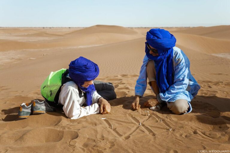 Vous rêvez de découvrir les mystères du Sahara tunisien ? Vous êtes au bon endroit ! Avec SudTunisie.com, plongez dans l'aventure ultime à travers le Sahara. Laissez-nous vous guider à travers les dunes dorées, les oasis luxuriantes et les villes antiques pour une expérience inoubliable. L'Authenticité du Sahara Tunisien Le Sahara tunisien est bien plus qu'un simple désert. C'est un monde à part entière, avec sa culture riche et ses paysages époustouflants. SudTunisie.com vous offre la chance de vivre cette authenticité de près. Explorez les marchés animés où les artisans locaux vendent leurs trésors, goûtez aux délices de la cuisine tunisienne et plongez dans l'hospitalité chaleureuse des habitants. Nos Circuits Sud : Un Voyage Sur-Mesure Chez SudTunisie.com, nous comprenons que chaque voyageur est unique. C'est pourquoi nos circuits sud sont conçus sur mesure pour répondre à vos besoins et désirs. Que vous soyez passionné d'aventure, amateur d'histoire ou simplement en quête de détente, nous avons le circuit parfait pour vous. Explorez les anciennes cités de Carthage et de Dougga, campez sous les étoiles dans le désert ou détendez-vous sur les plages de sable fin. Avec nous, chaque journée est une nouvelle aventure à vivre. Nos Guides Locaux Experts Pour rendre votre expérience encore plus enrichissante, nos circuits sud sont accompagnés par des guides locaux experts. Ils connaissent le Sahara comme leur poche et sont passionnés par leur culture. Grâce à eux, vous découvrirez des endroits secrets, entendrez des histoires fascinantes et participerez à des activités uniques. Que vous soyez intéressé par l'observation des étoiles, les randonnées à dos de chameau ou les rencontres avec les nomades du désert, nos guides vous guideront avec enthousiasme. Réservez Votre Aventure Dès Aujourd'hui ! Préparez-vous à vivre l'aventure de votre vie au cœur du Sahara tunisien avec SudTunisie.com. Ne manquez pas l'opportunité de découvrir l'authenticité de ce désert mythique. Réservez dès aujourd'hui et laissez-vous séduire par la magie du Sahara. Votre voyage de rêve commence ici.