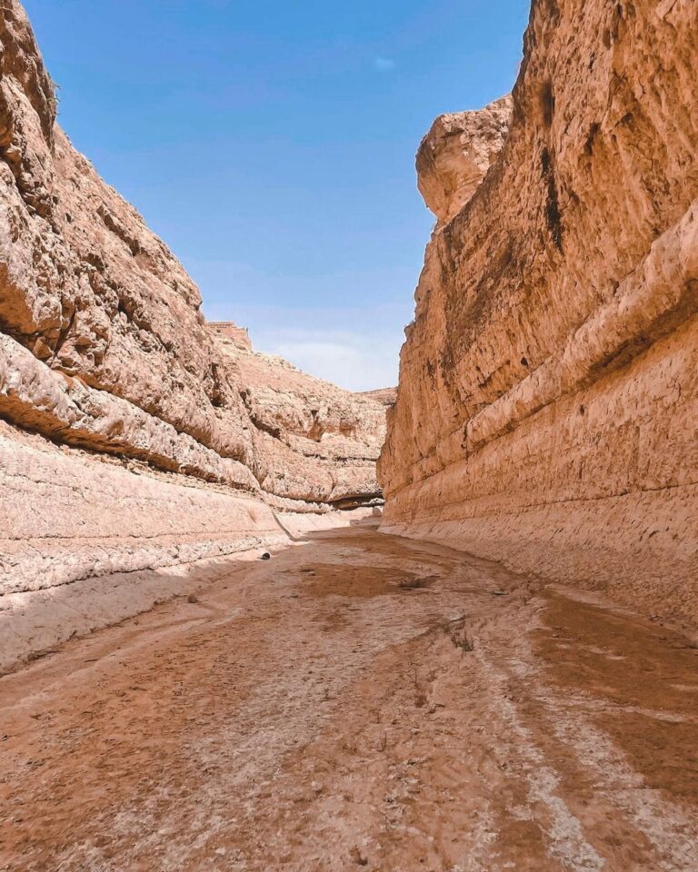 Bienvenue dans le monde magique du Sahara tunisien ! Si vous rêvez d'une aventure inoubliable dans le désert, l'agence SudTunisie.com est votre meilleur allié pour une excursion exceptionnelle. Découvrez tout ce que vous devez savoir sur les circuits dans le désert du Sahara en Tunisie avec SudTunisie.com. Découvrir le Sahara Tunisien Le Sahara tunisien est un joyau caché qui attend d'être exploré. Ses vastes étendues de dunes dorées, ses oasis luxuriantes, ses traditions culturelles riches et son hospitalité légendaire en font une destination de choix pour les amateurs d'aventure. Cependant, pour tirer le meilleur parti de cette expérience, il est essentiel de choisir la bonne agence de voyage. C'est là que SudTunisie.com se distingue. SudTunisie.com : Votre Guide Expert SudTunisie.com est bien plus qu'une simple agence de voyage. Ils sont vos compagnons de voyage dévoués, prêts à vous faire découvrir le Sahara tunisien comme personne d'autre. Leur équipe d'experts locaux connaît chaque coin et recoin du désert, vous garantissant une expérience authentique et enrichissante. Des Circuits Désert Uniques SudTunisie.com propose une variété de circuits désertiques conçus pour s'adapter à tous les types de voyageurs. Que vous soyez un amateur de trekking, un passionné de culture, ou tout simplement en quête de détente, ils ont le circuit parfait pour vous. Explorez des oasis pittoresques, observez les étoiles dans un ciel nocturne immaculé, ou découvrez la riche histoire berbère - tout cela est possible avec SudTunisie.com. Confort et Authenticité Les voyages dans le désert ne signifient pas nécessairement sacrifier le confort. SudTunisie.com propose des hébergements de qualité, que ce soit sous les étoiles dans un campement berbère traditionnel ou dans des hôtels de charme au cœur de l'oasis. Vous pourrez ainsi vous détendre après une journée d'aventure tout en appréciant la sérénité du désert. Culture et Rencontres Locales L'une des expériences les plus mémorables lors d'un voyage avec SudTunisie.com est la chance de rencontrer et d'interagir avec les habitants du désert. Vous découvrirez les traditions, la cuisine locale et l'artisanat, créant des souvenirs authentiques et durables. Réservez Votre Aventure Désertique dès Aujourd'hui Pour une excursion exceptionnelle dans le Sahara tunisien, SudTunisie.com est le choix évident. Leur expertise, leur passion pour le désert et leur engagement envers une expérience de voyage de qualité font d'eux la meilleure agence pour explorer cette région magique. Alors, n'attendez plus, réservez votre circuit désert avec SudTunisie.com et préparez-vous à vivre une aventure que vous n'oublierez jamais.