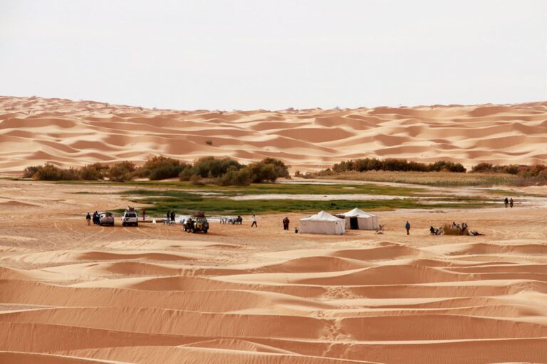 Exploration du Sahara Tunisien : Votre Aventure Abordable Attend Vous rêvez de vous aventurer dans les vastes étendues du Sahara tunisien sans vider votre portefeuille ? Nous avons la solution parfaite pour vous ! Laissez-nous vous guider à travers cette expérience inoubliable à des prix abordables. La Magie du Sahara Tunisien à Prix Raisonnable Le Sahara tunisien est une merveille naturelle époustouflante, avec ses dunes majestueuses, ses paysages lunaires et sa culture bédouine riche en traditions. Pourtant, beaucoup hésitent à explorer cette région en raison des idées préconçues sur les coûts élevés associés à une telle aventure. Nous sommes là pour vous prouver le contraire ! Conseils pour Profiter du Sahara à Coût Réduit Planification Astucieuse pour des Économies Substantielles La clé pour explorer le Sahara tunisien à moindre coût réside dans une planification intelligente. Optez pour des agences locales qui offrent des forfaits abordables tout en proposant des expériences authentiques. Comparez les offres disponibles et choisissez celle qui correspond le mieux à votre budget. Voyage en Groupe pour Réduire les Dépenses Voyager avec un groupe d'amis ou en rejoignant un groupe organisé peut considérablement réduire les dépenses. Non seulement cela divise les coûts, mais cela crée également une ambiance conviviale, rendant votre aventure encore plus mémorable. Saisissez les Offres Spéciales et les Promotions Restez à l'affût des offres spéciales et des promotions saisonnières offertes par les agences de voyage. Souvent, ces offres vous permettent de vivre une expérience authentique du Sahara à des prix incroyablement réduits. Expérience Inoubliable Sans Casser la Tirelire Explorer le Sahara tunisien à petit prix est non seulement possible, mais aussi une expérience enrichissante et inoubliable. En suivant ces astuces simples mais efficaces, vous pouvez vivre cette aventure unique sans sacrifier votre budget. Conclusion Ne laissez pas les idées préconçues sur les coûts vous priver de l'expérience magique du Sahara tunisien. Avec une planification minutieuse, des choix judicieux et une recherche approfondie, vous pouvez explorer cette merveille naturelle sans vous ruiner. Laissez-vous emporter par la beauté du désert sans craindre les coûts élevés. Préparez-vous à une aventure fascinante et abordable dans le Sahara tunisien !