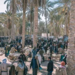 Nous sommes là pour vous présenter une expérience de voyage incomparable : l'Excursion Sud Sahara en Tunisie à petit prix. Découvrez le Sud Tunisien à Prix Doux Vous rêvez de découvrir le Sud Tunisien sans vous ruiner ? L'Excursion Sud Sahara en Tunisie à prix abordable est faite pour vous ! Cette aventure vous transporte dans les méandres du désert à moindre coût, vous permettant de vivre des moments inoubliables sans compromettre votre budget. Évasion Abordable dans le Sahara Tunisien Laissez-vous séduire par la beauté majestueuse du Sahara Tunisien sans avoir à casser votre tirelire. Cette escapade vous offre la possibilité de vous immerger dans les dunes de sable doré, de découvrir la culture berbère et de vivre des moments d'émerveillement à des tarifs accessibles à tous. Explorez à Prix Réduit Notre programme exclusif d'Excursion Sud Sahara en Tunisie à petit prix vous propose une gamme d'activités variées à des tarifs compétitifs. Que vous souhaitiez admirer le coucher de soleil sur les dunes, goûter à la cuisine locale ou partir à la découverte des trésors cachés du désert, tout est rendu accessible sans sacrifier la qualité de l'expérience. Réservez Votre Aventure à Prix Mini Ne laissez pas les contraintes budgétaires freiner votre désir d'aventure. Réservez dès maintenant votre place pour cette excursion incroyable au Sahara Tunisien à prix abordable et découvrez une facette inédite de la Tunisie sans vous ruiner.