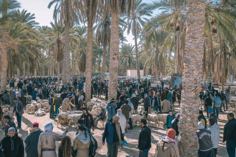 Nous sommes là pour vous présenter une expérience de voyage incomparable : l'Excursion Sud Sahara en Tunisie à petit prix. Découvrez le Sud Tunisien à Prix Doux Vous rêvez de découvrir le Sud Tunisien sans vous ruiner ? L'Excursion Sud Sahara en Tunisie à prix abordable est faite pour vous ! Cette aventure vous transporte dans les méandres du désert à moindre coût, vous permettant de vivre des moments inoubliables sans compromettre votre budget. Évasion Abordable dans le Sahara Tunisien Laissez-vous séduire par la beauté majestueuse du Sahara Tunisien sans avoir à casser votre tirelire. Cette escapade vous offre la possibilité de vous immerger dans les dunes de sable doré, de découvrir la culture berbère et de vivre des moments d'émerveillement à des tarifs accessibles à tous. Explorez à Prix Réduit Notre programme exclusif d'Excursion Sud Sahara en Tunisie à petit prix vous propose une gamme d'activités variées à des tarifs compétitifs. Que vous souhaitiez admirer le coucher de soleil sur les dunes, goûter à la cuisine locale ou partir à la découverte des trésors cachés du désert, tout est rendu accessible sans sacrifier la qualité de l'expérience. Réservez Votre Aventure à Prix Mini Ne laissez pas les contraintes budgétaires freiner votre désir d'aventure. Réservez dès maintenant votre place pour cette excursion incroyable au Sahara Tunisien à prix abordable et découvrez une facette inédite de la Tunisie sans vous ruiner.