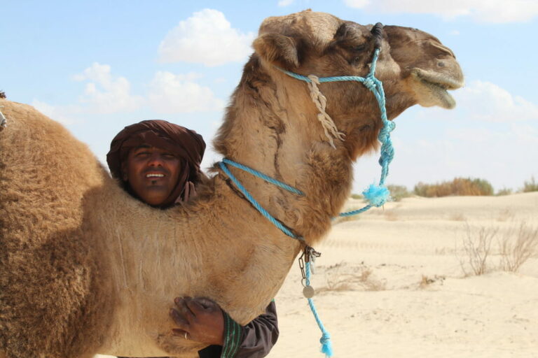 Vous avez toujours rêvé de plonger au cœur du Sud tunisien pour explorer ses paysages époustouflants, sa culture riche, et vivre des aventures inoubliables ? Ne cherchez plus, SudTunisie.com est là pour vous guider à travers cette région magique. Dans cet article, nous allons vous faire découvrir le Sud tunisien et vous montrer pourquoi SudTunisie.com est le partenaire idéal pour votre voyage. Le Sud Tunisien : Une Destination Exceptionnelle Le Sud tunisien est une destination extraordinaire, offrant une variété de paysages à couper le souffle. Des dunes de sable du Sahara aux oasis luxuriantes, en passant par les montagnes majestueuses, cette région regorge de trésors naturels à explorer. Les Dunes du Sahara Les dunes du Sahara sont l'une des principales attractions du Sud tunisien. Leur immensité et leur beauté vous laisseront sans voix. Vous pourrez vous aventurer dans le désert, faire des balades à dos de chameau, ou même passer une nuit sous les étoiles dans un campement traditionnel. Les Oasis Verdoyantes Les oasis du Sud tunisien sont de véritables havres de verdure au milieu du désert. Vous pourrez vous détendre près des sources d'eau douce, déguster des dattes fraîches, et découvrir la vie traditionnelle des habitants de l'oasis. Les Montagnes et Gorges Le Sud tunisien abrite également des chaînes de montagnes et des gorges spectaculaires. Les amateurs de randonnée seront comblés par les sentiers pittoresques et les vues panoramiques à couper le souffle. SudTunisie.com : Votre Guide Expert Lorsque vous planifiez un voyage dans le Sud tunisien, il est essentiel d'avoir un partenaire de confiance pour vous guider à travers cette région magnifique. C'est là que SudTunisie.com entre en jeu. Guides Locaux Expérimentés Nos guides locaux sont des experts de la région. Ils connaissent chaque recoin du Sud tunisien, ses traditions, et son histoire. Ils veilleront à ce que votre voyage soit riche en découvertes et en émotions. Excursions Personnalisées Chez SudTunisie.com, nous comprenons que chaque voyageur est unique. C'est pourquoi nous proposons des excursions personnalisées qui répondent à vos besoins et à vos envies. Que vous souhaitiez explorer le désert, découvrir la culture locale, ou partir à l'aventure, nous avons la formule idéale pour vous. Hébergements de Qualité Après une journée bien remplie d'exploration, il est essentiel de se reposer dans un lieu confortable. SudTunisie.com sélectionne avec soin des hébergements de qualité, allant des hôtels confortables aux campements traditionnels, pour que vous puissiez profiter pleinement de votre séjour. Réservez Votre Aventure Si vous rêvez de découvrir le Sud tunisien, SudTunisie.com est là pour vous accompagner. Avec notre expertise, nos guides locaux passionnés, et nos excursions sur mesure, nous sommes prêts à vous faire vivre une expérience inoubliable. Réservez dès aujourd'hui et préparez-vous à explorer le Sud tunisien comme jamais auparavant.