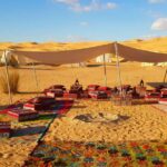 Explorons le Sud Tunisien Ensemble Voyager dans le Sud Tunisien est une aventure en soi. Cette région regorge de merveilles naturelles, offrant des expériences uniques aux voyageurs en quête de découvertes authentiques. Les excursions et circuits dans le désert du Sahara sont des occasions incomparables pour plonger dans un monde de paysages pittoresques, de cultures riches et de traditions anciennes. Exploration du Désert Tunisien : Une Aventure Envoûtante Partir en excursion dans le désert tunisien, c’est s’immerger dans un univers de beauté sauvage. Les circuits vous entraînent à travers des étendues de dunes majestueuses, révélant la magie du Sahara. Conduire au milieu de ces paysages désertiques, sous le soleil éclatant, est une expérience captivante à ne pas manquer. Richesses Culturelles du Sud Tunisien Outre les panoramas à couper le souffle, le Sud Tunisien offre une diversité culturelle fascinante. Rencontrer les habitants chaleureux, explorer les marchés traditionnels et s’immerger dans les coutumes locales permettent une expérience enrichissante et authentique. Circuits Désertiques : Plongée dans l'Authenticité Les circuits désertiques dans le Sahara tunisien offrent une immersion totale dans la vie nomade. Découvrir les traditions ancestrales, savourer la cuisine locale et partager des moments uniques au cœur des camps berbères traditionnels sont des moments précieux et inoubliables. Pourquoi Choisir Notre Excursion & Circuit Désert en Tunisie Notre proposition d'excursions et de circuits dans le désert tunisien vise à offrir une expérience authentique. Avec des guides locaux passionnés et expérimentés, notre objectif est de garantir un voyage inoubliable, où chaque instant révèle la magie et la beauté brute du désert. Que vous aspiriez à découvrir les dunes majestueuses du Sahara, à explorer la vie nomade ou à vous plonger dans la culture berbère, notre circuit désert en Tunisie vous ouvre les portes d'une aventure fascinante et enrichissante. Laissez-vous envoûter par cette expérience unique au cœur du Sud Tunisien, où le désert vous dévoile ses secrets et où chaque grain de sable raconte une histoire.