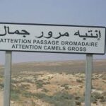 La Beauté du Sud Tunisien Le Sud Tunisien est une région riche en histoire, en culture et en paysages spectaculaires. Lorsque vous planifiez une aventure mémorable, explorer le Sud Tunisien avec SudTunisie.com est un choix incomparable. Paysages Époustouflants Des dunes de sable sans fin aux oasis verdoyantes, en passant par les villes historiques et les montagnes majestueuses, le Sud Tunisien regorge de décors époustouflants. Avec SudTunisie.com, vous pourrez découvrir ces panoramas à couper le souffle. Une Offre Variée Que vous soyez amateur de trekking, de visites historiques ou simplement en quête de moments de détente, SudTunisie.com propose une variété d'options pour répondre à vos besoins. Des excursions guidées à des escapades personnalisées, chaque offre est conçue pour vous offrir une expérience inoubliable. Une Plongée dans la Culture L'authenticité de la culture tunisienne se révèle dans le Sud. Les rencontres avec les habitants locaux, l'exploration des souks traditionnels et la dégustation de la cuisine locale authentique font partie intégrante de l'aventure avec SudTunisie.com. Réservation Facile et Sécurisée Avec SudTunisie.com, la réservation de votre voyage dans le Sud Tunisien est simple et sécurisée. Un processus convivial vous permet de choisir vos dates, vos activités et de personnaliser votre itinéraire selon vos préférences. Explorez le Sud Tunisien avec SudTunisie.com dès Aujourd'hui ! Réservez votre expérience dès maintenant avec SudTunisie.com et préparez-vous à vivre une aventure mémorable. Plongez au cœur du Sud Tunisien et créez des souvenirs durables avec une équipe dédiée à vous offrir le meilleur de cette région.