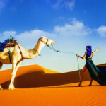 Lorsque l'on envisage une excursion mémorable et abordable, le désert de Tunisie offre une expérience unique et captivante. À travers cet article, nous explorerons les richesses de cette escapade inoubliable tout en mettant en lumière les opportunités d'exploration à moindre coût. Découvrir le charme économique du désert tunisien Le désert tunisien, avec ses dunes dorées à perte de vue, ses oasis verdoyantes et ses vues imprenables, s'avère être une destination emblématique. Pourtant, il est souvent méconnu des voyageurs cherchant des expériences abordables. Cependant, avec une planification astucieuse et des choix réfléchis, cette excursion peut s'avérer économique sans compromettre l'expérience. Stratégies pour une excursion économique 1. Choix astucieux d'hébergement Pour commencer, le choix de l'hébergement est crucial pour une excursion économique dans le désert tunisien. Opter pour des campements ou des auberges locales peut être plus abordable que les grands complexes hôteliers. De plus, cela offre une expérience plus authentique et proche de la nature. 2. Planification des repas et des activités La planification des repas peut également aider à réduire les coûts. Les marchés locaux regorgent de produits frais et offrent l'opportunité de goûter à une cuisine authentique à moindre coût. De plus, de nombreuses activités telles que les randonnées dans le désert ou les visites d'oasis sont souvent gratuites ou peu coûteuses. 3. Transport économique En matière de transport, la location de voitures ou l'utilisation des transports en commun peuvent être des options économiques pour se déplacer dans la région. Comparer les prix et opter pour des moyens de transport locaux peut faire économiser considérablement sur le budget global de l'excursion. Expériences inoubliables à petit prix 1. Randonnées à couper le souffle Les possibilités de randonnée dans le désert tunisien sont infinies. Des expériences de trekking à travers les dunes offrent des panoramas à couper le souffle sans frais supplémentaires. 2. Nuits sous les étoiles Passer une nuit sous les étoiles dans le désert est une expérience inoubliable et souvent peu coûteuse. De nombreux campements proposent des nuitées à des prix abordables, permettant ainsi une immersion totale dans la magie du désert. Conclusion En somme, l'excursion dans le désert de Tunisie peut être une aventure économique et mémorable si elle est planifiée avec soin. En choisissant judicieusement l'hébergement, les repas et les activités, il est possible de vivre une expérience authentique sans exploser le budget. Le désert tunisien regorge d'opportunités pour les voyageurs à la recherche d'une escapade à la fois abordable et enrichissante.