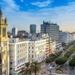 Si vous recherchez une destination envoûtante, riche en histoire, en culture et en paysages variés, la Tunisie est un joyau à ne pas manquer. De ses plages méditerranéennes à couper le souffle à ses villes anciennes regorgeant d'architecture fascinante, ce pays d'Afrique du Nord offre une expérience unique à chaque visiteur. Plongeons ensemble dans un voyage virtuel à travers les trésors cachés et les incontournables de cette destination envoûtante. Un Mélange Enivrant de Culture La Tunisie est un véritable kaléidoscope culturel. En sillonnant ses ruelles pittoresques, imprégnez-vous de l'atmosphère animée des souks, où les artisans talentueux exposent leurs créations artisanales colorées. Découvrez l'histoire fascinante de Carthage, l'ancienne cité phénicienne, ou explorez les vestiges romains bien conservés à Dougga. Plages Idylliques et Paysages Époustouflants Les côtes tunisiennes offrent des panoramas à couper le souffle. Du sable doré aux eaux cristallines, les plages méditerranéennes sont un véritable paradis pour les amateurs de farniente et les passionnés de sports nautiques. Ne manquez pas la beauté préservée de l'île de Djerba, célèbre pour ses plages immaculées et son atmosphère enchanteresse. Une Gastronomie Enrichissante La cuisine tunisienne est une fusion exquise de saveurs méditerranéennes et d'influences orientales. Goûtez aux délices locaux tels que le couscous, plat emblématique préparé de diverses manières, ou le fameux tajine aux épices parfumées. Explorez les marchés locaux pour découvrir une palette de saveurs uniques qui raviront vos papilles. Hospitalité Chaleureuse et Accueil Incomparable L'un des trésors les plus précieux de la Tunisie est l'hospitalité de ses habitants. Les Tunisiens vous accueilleront avec un sourire chaleureux et une générosité sans pareil, vous invitant à découvrir leur culture et leurs traditions. Partagez des moments authentiques avec les locaux et plongez dans le quotidien tunisien. Conclusion : Vivez l'Expérience Inoubliable de la Tunisie En somme, une visite en Tunisie est bien plus qu'un simple voyage, c'est une immersion totale dans une culture vibrante, une histoire fascinante et des paysages diversifiés. Des montagnes majestueuses du nord aux étendues désertiques du sud, la Tunisie vous promet une aventure inoubliable à chaque tournant. Préparez-vous à être ébloui par la beauté authentique de ce joyau méditerranéen.