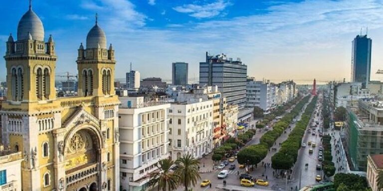 Si vous recherchez une destination envoûtante, riche en histoire, en culture et en paysages variés, la Tunisie est un joyau à ne pas manquer. De ses plages méditerranéennes à couper le souffle à ses villes anciennes regorgeant d'architecture fascinante, ce pays d'Afrique du Nord offre une expérience unique à chaque visiteur. Plongeons ensemble dans un voyage virtuel à travers les trésors cachés et les incontournables de cette destination envoûtante. Un Mélange Enivrant de Culture La Tunisie est un véritable kaléidoscope culturel. En sillonnant ses ruelles pittoresques, imprégnez-vous de l'atmosphère animée des souks, où les artisans talentueux exposent leurs créations artisanales colorées. Découvrez l'histoire fascinante de Carthage, l'ancienne cité phénicienne, ou explorez les vestiges romains bien conservés à Dougga. Plages Idylliques et Paysages Époustouflants Les côtes tunisiennes offrent des panoramas à couper le souffle. Du sable doré aux eaux cristallines, les plages méditerranéennes sont un véritable paradis pour les amateurs de farniente et les passionnés de sports nautiques. Ne manquez pas la beauté préservée de l'île de Djerba, célèbre pour ses plages immaculées et son atmosphère enchanteresse. Une Gastronomie Enrichissante La cuisine tunisienne est une fusion exquise de saveurs méditerranéennes et d'influences orientales. Goûtez aux délices locaux tels que le couscous, plat emblématique préparé de diverses manières, ou le fameux tajine aux épices parfumées. Explorez les marchés locaux pour découvrir une palette de saveurs uniques qui raviront vos papilles. Hospitalité Chaleureuse et Accueil Incomparable L'un des trésors les plus précieux de la Tunisie est l'hospitalité de ses habitants. Les Tunisiens vous accueilleront avec un sourire chaleureux et une générosité sans pareil, vous invitant à découvrir leur culture et leurs traditions. Partagez des moments authentiques avec les locaux et plongez dans le quotidien tunisien. Conclusion : Vivez l'Expérience Inoubliable de la Tunisie En somme, une visite en Tunisie est bien plus qu'un simple voyage, c'est une immersion totale dans une culture vibrante, une histoire fascinante et des paysages diversifiés. Des montagnes majestueuses du nord aux étendues désertiques du sud, la Tunisie vous promet une aventure inoubliable à chaque tournant. Préparez-vous à être ébloui par la beauté authentique de ce joyau méditerranéen.