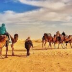 Le Sud tunisien est un trésor caché, une mosaïque enchanteresse de paysages désertiques, d'oasis luxuriantes et de traditions ancrées dans le temps. Cette région, souvent méconnue des voyageurs, offre une expérience unique et immersive loin des sentiers touristiques battus. Découvrons ensemble les joyaux que renferme ce voyage captivant. Exploration des Paysages Désertiques Des Dunes à Perte de Vue Le Sud tunisien fascine par ses dunes dorées s'étendant à l'infini. Les paysages lunaires évoquent une beauté intemporelle, propice à l'évasion et à la contemplation. Se perdre dans ce dédale de sable est une expérience inoubliable, offrant des panoramas à couper le souffle, surtout lors des lueurs du lever ou du coucher du soleil. Rencontres Avec l'Oasis et la Nature Au cœur du désert surgissent des oasis verdoyantes, des points d'eau resplendissants où la vie bourdonne dans une harmonie parfaite. Ces oasis, comme des mirages au milieu du sable, offrent un répit bienvenu et dévoilent une biodiversité étonnante. S'émerveiller devant ces havres de fraîcheur est une immersion sensorielle à part entière. Richesses Culturelles et Traditions Anciennes Artisanat et Patrimoine La région regorge d'un artisanat riche et authentique. Les souks locaux proposent une palette colorée d'objets artisanaux, tels que les tapis berbères, la poterie traditionnelle et les bijoux étincelants. Ces trésors témoignent du savoir-faire ancestral des artisans et constituent des souvenirs uniques à ramener chez soi. Hospitalité et Traditions L'hospitalité des habitants du Sud tunisien est légendaire. Les visiteurs sont accueillis chaleureusement dans des maisons traditionnelles, invités à partager un thé à la menthe et à découvrir les coutumes ancestrales. Participer à des festivités locales, rythmées par la musique et la danse, offre un aperçu précieux de la vie quotidienne dans ces contrées. Conseils Pratiques pour une Aventure Mémorable Choix d'Hébergement Authentique Optez pour des logements chez l'habitant, des maisons d'hôtes ou des campements nomades pour une immersion plus profonde dans la culture locale. Ces hébergements offrent une expérience authentique, loin du luxe des complexes hôteliers, mais riche en échanges humains et en authenticité. Exploration Responsable et Respectueuse Respectez l'environnement fragile du désert en suivant les sentiers balisés lors des randonnées et en évitant les comportements nuisibles à la nature. Contribuez à la préservation des sites en adoptant des pratiques éco-responsables tout au long de votre voyage. Découverte Gourmande et Culinaire Goûtez aux saveurs locales dans les restaurants et marchés locaux. La cuisine traditionnelle tunisienne regorge de plats succulents comme le couscous, les tajines et les pâtisseries à base de miel et d'amandes. N'hésitez pas à explorer ces délices gastronomiques pour une expérience complète. Conclusion Le voyage dans le Sud tunisien est une immersion authentique dans une culture riche, des paysages envoûtants et des rencontres chaleureuses. En explorant cette région moins connue, les voyageurs peuvent découvrir une facette unique de la Tunisie, imprégnée de traditions, de diversité et de beauté naturelle.