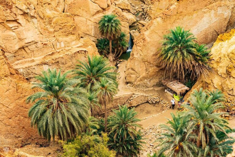 Le Sahara Tunisien : Une Destination d'Exception Le Sahara tunisien est une merveille naturelle qui promet une expérience hors du commun. Partez à la découverte de ce vaste désert où la magie opère à chaque pas. Exploration Authentique et Immersion Culturelle Plongez dans l'âme du désert tunisien en explorant ses dunes majestueuses et en découvrant la richesse de sa culture. Rencontrez les habitants nomades et imprégnez-vous de leurs traditions pour vivre des moments authentiques. Offres Exceptionnelles : www.sudtunisie.com Avec www.sudtunisie.com, votre aventure dans le Sahara tunisien est soigneusement planifiée pour vous offrir des expériences uniques. Des circuits bien conçus, des guides experts et des options flexibles pour personnaliser votre séjour vous attendent. Sécurité, Confort et Authenticité Nous accordons une importance capitale à votre sécurité et votre confort. Notre équipe veille à ce que votre exploration du Sahara soit non seulement passionnante mais également sûre et enrichissante. Conclusion : Réservez Votre Aventure Dès Maintenant Ne manquez pas l'opportunité de vivre une expérience extraordinaire dans le Sahara tunisien avec www.sudtunisie.com. Réservez dès aujourd'hui pour créer des souvenirs inoubliables.