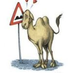 Découvrir la Magie du Sud Tunisien Des Paysages Captivants Le Sud tunisien, une terre où les dunes s'étendent à perte de vue, où les oasis émergent comme des joyaux, est un appel à l'aventure. Cette région est un patchwork de beauté naturelle qui éblouit les voyageurs en quête d'authenticité et de dépaysement. Plongée dans la Culture et l'Histoire Au-delà de ses paysages à couper le souffle, le Sud tunisien est un héritage vivant. Ses villes historiques, ses traditions artisanales et sa culture vibrante offrent une immersion complète dans un passé fascinant et une vie quotidienne empreinte de traditions. Voyagez avec sudtunisie.com : Une Exclusivité Garantie Des Circuits Pensés pour Vous sudtunisie.com propose des circuits personnalisés, des expériences uniques adaptées à vos envies. Des itinéraires flexibles pour explorer le Sud tunisien à votre rythme, en vous assurant une immersion authentique. Guides Locaux, Connaisseurs du Terrain Nos guides expérimentés, natifs de la région, sont passionnés par leur patrimoine. Leur savoir local, leur accueil chaleureux et leurs histoires captivantes enrichissent chaque moment de votre voyage. Engagement envers des Voyages Mémorables Authenticité et Responsabilité Chez sudtunisie.com, nous valorisons une approche durable et respectueuse. Nous nous engageons à préserver la beauté naturelle et la richesse culturelle du Sud tunisien pour les générations futures. Expériences Authentiques, Souvenirs Inoubliables Des rencontres avec les habitants locaux aux découvertes gastronomiques, chaque moment passé avec nous est une invitation à vivre l'essence même du Sud tunisien. Détails Pratiques pour Votre Voyage Hébergements Charmants et Pittoresques Découvrez le charme des logements traditionnels, des auberges familiales aux hébergements en plein cœur des oasis. Une expérience d'hospitalité tunisienne authentique vous attend. Découverte Gourmande Goûtez aux saveurs locales dans les souks animés et les restaurants typiques. La cuisine tunisienne offre une palette de délices à savourer lors de votre périple. Conclusion Soyez prêt à vous aventurer dans les trésors cachés du Sud tunisien avec sudtunisie.com. Un mélange unique de paysages majestueux, de rencontres chaleureuses et d'aventures authentiques vous attendent pour un voyage mémorable.