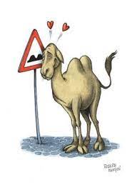 Découvrir la Magie du Sud Tunisien Des Paysages Captivants Le Sud tunisien, une terre où les dunes s'étendent à perte de vue, où les oasis émergent comme des joyaux, est un appel à l'aventure. Cette région est un patchwork de beauté naturelle qui éblouit les voyageurs en quête d'authenticité et de dépaysement. Plongée dans la Culture et l'Histoire Au-delà de ses paysages à couper le souffle, le Sud tunisien est un héritage vivant. Ses villes historiques, ses traditions artisanales et sa culture vibrante offrent une immersion complète dans un passé fascinant et une vie quotidienne empreinte de traditions. Voyagez avec sudtunisie.com : Une Exclusivité Garantie Des Circuits Pensés pour Vous sudtunisie.com propose des circuits personnalisés, des expériences uniques adaptées à vos envies. Des itinéraires flexibles pour explorer le Sud tunisien à votre rythme, en vous assurant une immersion authentique. Guides Locaux, Connaisseurs du Terrain Nos guides expérimentés, natifs de la région, sont passionnés par leur patrimoine. Leur savoir local, leur accueil chaleureux et leurs histoires captivantes enrichissent chaque moment de votre voyage. Engagement envers des Voyages Mémorables Authenticité et Responsabilité Chez sudtunisie.com, nous valorisons une approche durable et respectueuse. Nous nous engageons à préserver la beauté naturelle et la richesse culturelle du Sud tunisien pour les générations futures. Expériences Authentiques, Souvenirs Inoubliables Des rencontres avec les habitants locaux aux découvertes gastronomiques, chaque moment passé avec nous est une invitation à vivre l'essence même du Sud tunisien. Détails Pratiques pour Votre Voyage Hébergements Charmants et Pittoresques Découvrez le charme des logements traditionnels, des auberges familiales aux hébergements en plein cœur des oasis. Une expérience d'hospitalité tunisienne authentique vous attend. Découverte Gourmande Goûtez aux saveurs locales dans les souks animés et les restaurants typiques. La cuisine tunisienne offre une palette de délices à savourer lors de votre périple. Conclusion Soyez prêt à vous aventurer dans les trésors cachés du Sud tunisien avec sudtunisie.com. Un mélange unique de paysages majestueux, de rencontres chaleureuses et d'aventures authentiques vous attendent pour un voyage mémorable.