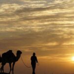 Explorer le Sahara Tunisie : Une Aventure Sans Pareille Plongez dans un monde de vastes étendues dorées et de dunes à perte de vue. Le Sahara tunisien offre une expérience inoubliable, mêlant beauté naturelle et découvertes authentiques. Imaginez-vous déambulant dans ce paysage saisissant, où chaque grain de sable raconte une histoire millénaire. Immersion dans la Culture et la Tradition Rencontrez les habitants nomades, partagez un thé traditionnel et découvrez des oasis cachées où la vie bourdonne au cœur du désert. C'est une plongée dans une culture riche et des traditions préservées depuis des générations. Aventure et Exploration au Cœur du Désert Explorez les gorges majestueuses, traversez les canyons aux formes étonnantes, et découvrez des sites archéologiques témoins de l'histoire ancienne. Randonnées, découvertes culturelles, chaque pas est une aventure unique. Conclusion : Vivez une Expérience Unique dans le Sahara Tunisie Votre voyage sur mesure dans le Sahara tunisien promet bien plus qu'une simple escapade. C'est une immersion totale dans un monde où la nature règne en maître et où les cultures se rencontrent pour créer des souvenirs inoubliables. Laissez-vous porter par cette expérience hors du commun.