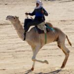 Explorez les Plaisirs de l'Excursion au Sahara Tunisien à Petit Prix Partir à la découverte du Sud du Sahara en Tunisie est un rêve pour beaucoup d'entre nous. Les vastes dunes de sable, les traditions riches et l'hospitalité chaleureuse sont autant d'aspects qui suscitent l'intérêt pour cette excursion. Mais comment profiter de cette expérience unique sans se ruiner ? Voici quelques conseils pour une excursion mémorable à un prix abordable. Choisissez la Saison Opportune Saison idéale pour voyager - l'une des clés pour économiser lors d'une excursion au Sahara tunisien. Optez pour la période creuse, souvent en dehors des vacances scolaires ou des saisons de pointe. Les tarifs des hébergements et des activités peuvent être considérablement plus bas, offrant ainsi une aventure authentique à moindre coût. Offres et Promotions Spéciales De nombreuses agences de voyage proposent des offres spéciales et des réductions pour les réservations anticipées ou les voyages en groupe. Explorez ces options pour obtenir des tarifs plus avantageux tout en conservant la qualité de votre expérience. Comparez les offres et choisissez celle qui convient le mieux à votre budget. L'Art de la Négociation Dans les marchés locaux et lors de l'achat de souvenirs, la négociation est une pratique courante. Ne sous-estimez pas le pouvoir de la négociation pour obtenir des prix plus bas. Cependant, restez respectueux et amical lors de ces échanges. Optez pour l'Authenticité sans Dépenser Une Fortune L'essence même de l'excursion au Sahara tunisien réside dans la découverte de la culture locale et des traditions. Choisissez des options d'hébergement plus modestes mais authentiques, telles que les maisons d'hôtes tenues par des habitants locaux. Non seulement cela offre une expérience plus authentique, mais cela peut également être économique. Conclusion L'excursion au Sud du Sahara en Tunisie peut être une expérience enrichissante sans pour autant vider votre porte-monnaie. Avec un peu de planification, de flexibilité et d'astuces pour économiser, il est tout à fait possible de vivre une aventure inoubliable à un prix abordable. Planifiez intelligemment, explorez les options, et vivez une expérience unique au cœur du Sahara tunisien sans vous soucier de dépasser votre budget.