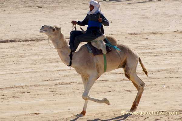 Explorez les Plaisirs de l'Excursion au Sahara Tunisien à Petit Prix Partir à la découverte du Sud du Sahara en Tunisie est un rêve pour beaucoup d'entre nous. Les vastes dunes de sable, les traditions riches et l'hospitalité chaleureuse sont autant d'aspects qui suscitent l'intérêt pour cette excursion. Mais comment profiter de cette expérience unique sans se ruiner ? Voici quelques conseils pour une excursion mémorable à un prix abordable. Choisissez la Saison Opportune Saison idéale pour voyager - l'une des clés pour économiser lors d'une excursion au Sahara tunisien. Optez pour la période creuse, souvent en dehors des vacances scolaires ou des saisons de pointe. Les tarifs des hébergements et des activités peuvent être considérablement plus bas, offrant ainsi une aventure authentique à moindre coût. Offres et Promotions Spéciales De nombreuses agences de voyage proposent des offres spéciales et des réductions pour les réservations anticipées ou les voyages en groupe. Explorez ces options pour obtenir des tarifs plus avantageux tout en conservant la qualité de votre expérience. Comparez les offres et choisissez celle qui convient le mieux à votre budget. L'Art de la Négociation Dans les marchés locaux et lors de l'achat de souvenirs, la négociation est une pratique courante. Ne sous-estimez pas le pouvoir de la négociation pour obtenir des prix plus bas. Cependant, restez respectueux et amical lors de ces échanges. Optez pour l'Authenticité sans Dépenser Une Fortune L'essence même de l'excursion au Sahara tunisien réside dans la découverte de la culture locale et des traditions. Choisissez des options d'hébergement plus modestes mais authentiques, telles que les maisons d'hôtes tenues par des habitants locaux. Non seulement cela offre une expérience plus authentique, mais cela peut également être économique. Conclusion L'excursion au Sud du Sahara en Tunisie peut être une expérience enrichissante sans pour autant vider votre porte-monnaie. Avec un peu de planification, de flexibilité et d'astuces pour économiser, il est tout à fait possible de vivre une aventure inoubliable à un prix abordable. Planifiez intelligemment, explorez les options, et vivez une expérience unique au cœur du Sahara tunisien sans vous soucier de dépasser votre budget.