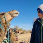 Vous rêvez d'une expérience unique dans le Sahara ? SudTunisie.com est là pour vous emmener dans un voyage inoubliable au cœur de l'une des merveilles naturelles les plus spectaculaires de la planète. Nos excursions et circuits sahariens sont conçus pour vous offrir des moments exceptionnels que vous chérirez toute votre vie. Explorez la Beauté du Sahara Le Sahara est synonyme de vastes étendues de sable doré, de dunes sculptées par le vent et d'une nature à couper le souffle. Nos excursions vous permettront de vivre pleinement la magie de ce désert incroyable. Voici un aperçu de ce qui vous attend lors de votre aventure saharienne avec SudTunisie.com. Des Expériences Authentiques Lorsque nous disons "authentique", nous le pensons. Nous avons à cœur de vous faire découvrir le Sahara dans toute sa splendeur. Vous plongerez dans la culture berbère, goûterez à des plats traditionnels et partagerez des moments de convivialité avec les habitants. Des Guides Locaux Experts Nos guides locaux sont des passionnés du désert et connaissent chaque recoin de cette terre fascinante. Ils partageront avec vous leur connaissance, leur amour pour la région et veilleront à ce que votre voyage soit inoubliable. Hébergements Uniques Dormir à la belle étoile dans un campement traditionnel, c'est possible ! Vous aurez également l'occasion de passer des nuits confortables dans des hébergements soigneusement sélectionnés pour leur charme et leur authenticité. Découverte de Paysages Époustouflants Les dunes de sable, les oasis verdoyantes, les canyons impressionnants et les formations rocheuses extraordinaires vous laisseront sans voix. Vous pourrez admirer des levers et couchers de soleil à couper le souffle et vous perdre dans la beauté du Sahara. Excursions pour Tous les Budgets Chez SudTunisie.com, nous croyons que l'aventure ne devrait pas être un luxe réservé à quelques-uns. C'est pourquoi nous proposons une variété d'excursions adaptées à tous les budgets. Voici quelques options qui pourraient vous intéresser. Circuit Économique Pour les voyageurs soucieux de leur budget, notre circuit économique est une excellente option. Il offre une expérience de qualité à un prix abordable. Vous profiterez de l'essentiel du Sahara sans vous ruiner. Circuit Tout Compris Si vous préférez que tout soit pris en charge, notre circuit tout compris est fait pour vous. Il inclut l'hébergement, les repas, les activités et le transport, pour une expérience sans souci. Circuit Aventure Extrême Pour les plus intrépides, notre circuit aventure extrême vous emmènera hors des sentiers battus. Vous vivrez des expériences uniques telles que le trekking dans le désert et la découverte de lieux reculés. Une Aventure qui Transforme Un voyage dans le Sahara n'est pas seulement une escapade, c'est une expérience qui peut changer votre vision du monde. La beauté, la sérénité et la grandeur du désert vous laisseront des souvenirs impérissables. Vous découvrirez également la résilience et la gentillesse du peuple berbère, une expérience humaine unique. Réservez Votre Aventure Dès Aujourd'hui Laissez SudTunisie.com vous guider à travers le Sahara pour des moments inoubliables. Peu importe votre budget ou vos préférences, nous avons une option qui vous convient. Rejoignez-nous pour une aventure qui marquera votre vie à jamais. Réservez dès aujourd'hui et préparez-vous à vivre une expérience hors du commun.