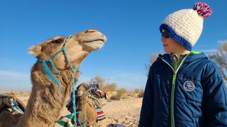 Vous rêvez d'une expérience unique dans le Sahara ? SudTunisie.com est là pour vous emmener dans un voyage inoubliable au cœur de l'une des merveilles naturelles les plus spectaculaires de la planète. Nos excursions et circuits sahariens sont conçus pour vous offrir des moments exceptionnels que vous chérirez toute votre vie. Explorez la Beauté du Sahara Le Sahara est synonyme de vastes étendues de sable doré, de dunes sculptées par le vent et d'une nature à couper le souffle. Nos excursions vous permettront de vivre pleinement la magie de ce désert incroyable. Voici un aperçu de ce qui vous attend lors de votre aventure saharienne avec SudTunisie.com. Des Expériences Authentiques Lorsque nous disons "authentique", nous le pensons. Nous avons à cœur de vous faire découvrir le Sahara dans toute sa splendeur. Vous plongerez dans la culture berbère, goûterez à des plats traditionnels et partagerez des moments de convivialité avec les habitants. Des Guides Locaux Experts Nos guides locaux sont des passionnés du désert et connaissent chaque recoin de cette terre fascinante. Ils partageront avec vous leur connaissance, leur amour pour la région et veilleront à ce que votre voyage soit inoubliable. Hébergements Uniques Dormir à la belle étoile dans un campement traditionnel, c'est possible ! Vous aurez également l'occasion de passer des nuits confortables dans des hébergements soigneusement sélectionnés pour leur charme et leur authenticité. Découverte de Paysages Époustouflants Les dunes de sable, les oasis verdoyantes, les canyons impressionnants et les formations rocheuses extraordinaires vous laisseront sans voix. Vous pourrez admirer des levers et couchers de soleil à couper le souffle et vous perdre dans la beauté du Sahara. Excursions pour Tous les Budgets Chez SudTunisie.com, nous croyons que l'aventure ne devrait pas être un luxe réservé à quelques-uns. C'est pourquoi nous proposons une variété d'excursions adaptées à tous les budgets. Voici quelques options qui pourraient vous intéresser. Circuit Économique Pour les voyageurs soucieux de leur budget, notre circuit économique est une excellente option. Il offre une expérience de qualité à un prix abordable. Vous profiterez de l'essentiel du Sahara sans vous ruiner. Circuit Tout Compris Si vous préférez que tout soit pris en charge, notre circuit tout compris est fait pour vous. Il inclut l'hébergement, les repas, les activités et le transport, pour une expérience sans souci. Circuit Aventure Extrême Pour les plus intrépides, notre circuit aventure extrême vous emmènera hors des sentiers battus. Vous vivrez des expériences uniques telles que le trekking dans le désert et la découverte de lieux reculés. Une Aventure qui Transforme Un voyage dans le Sahara n'est pas seulement une escapade, c'est une expérience qui peut changer votre vision du monde. La beauté, la sérénité et la grandeur du désert vous laisseront des souvenirs impérissables. Vous découvrirez également la résilience et la gentillesse du peuple berbère, une expérience humaine unique. Réservez Votre Aventure Dès Aujourd'hui Laissez SudTunisie.com vous guider à travers le Sahara pour des moments inoubliables. Peu importe votre budget ou vos préférences, nous avons une option qui vous convient. Rejoignez-nous pour une aventure qui marquera votre vie à jamais. Réservez dès aujourd'hui et préparez-vous à vivre une expérience hors du commun.