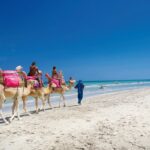 La Magie des Vacances en Tunisie Partir en vacances est souvent synonyme de dépenses conséquentes. Pourtant, il est tout à fait possible de découvrir des destinations extraordinaires sans vider son portefeuille. La Tunisie, avec son mélange captivant de culture, d'histoire et de paysages diversifiés, offre une opportunité incroyable de vivre des vacances mémorables à des tarifs abordables. Explorez la Beauté à Prix Doux La Tunisie, véritable joyau niché au cœur du bassin méditerranéen, regorge de trésors naturels et historiques. De ses plages dorées baignées par les eaux cristallines de la Méditerranée aux vestiges antiques imprégnés d'une riche histoire, chaque coin du pays vous réserve des découvertes fascinantes. Des Vacances Accessibles pour Tous www.sudtunisie.com s'engage à rendre votre expérience en Tunisie à la fois abordable et exceptionnelle. Profitez de notre large gamme d'offres spéciales, allant des forfaits tout compris aux réductions sur les hébergements, pour planifier des vacances qui correspondent à votre budget. Les Astuces pour des Vacances Économiques en Tunisie Planification Stratégique En réservant tôt vos billets d'avion et vos hébergements via www.sudtunisie.com, vous pouvez économiser considérablement. Gardez un œil sur nos offres promotionnelles et nos packages pour des tarifs avantageux. Immersion dans la Culture Locale Dégustez les délices de la cuisine tunisienne dans les restaurants locaux à petits prix. C'est une façon délicieuse de découvrir la culture et les saveurs authentiques du pays sans dépenser une fortune. Choix d'Hébergements Accessibles www.sudtunisie.com vous propose une sélection d'hébergements abordables, allant des hôtels aux maisons d'hôtes, pour répondre à vos besoins tout en respectant votre budget. Conclusion : Des Vacances Inoubliables Sans Ruiner Votre Portefeuille En somme, voyager en Tunisie avec www.sudtunisie.com vous permet de vivre une expérience riche en découvertes sans pour autant sacrifier votre porte-monnaie. Profitez pleinement de cette destination unique en son genre, imprégnez-vous de sa culture et de ses paysages magnifiques, le tout sans vous soucier des coûts exorbitants. {narrateur-article} Prêt à plonger dans une aventure mémorable sans avoir à vider votre compte en banque ? www.sudtunisie.com est votre allié pour des vacances abordables en Tunisie. Offrez-vous une escapade exceptionnelle sans compromettre votre budget, et laissez-vous séduire par tout ce que ce pays envoûtant a à offrir.