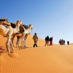 Explorer le Sahara Tunisien : Une Expérience Authentique Voyager au Sud de la Tunisie est une aventure inoubliable. Entre les dunes de sable doré, les balades à dos de chameau, et les oasis verdoyantes, c'est une escapade où l'authenticité et la beauté naturelle se rencontrent. Avec SudTunisie.com, plongez dans une expérience unique, loin de l'ordinaire. Plongée dans l'Immensité du Sahara Tunisien Le Sud de la Tunisie abrite l'un des déserts les plus emblématiques, le Sahara. Les dunes de sable à perte de vue créent un paysage à couper le souffle. L'équipe de SudTunisie.com vous offre la chance de vivre une expérience immersive au cœur de ce désert majestueux. De jour comme de nuit, observez le jeu de lumière sur les dunes, offrant des panoramas à couper le souffle, une toile de fond parfaite pour des moments magiques. Balades en Chameau et Rencontres Authentiques Les balades à dos de chameau sont une véritable tradition dans le désert. Avec SudTunisie.com, embarquez pour une aventure à dos de ces animaux emblématiques. Accompagnés de guides locaux expérimentés, découvrez des endroits secrets et rencontrez les habitants nomades. Immergez-vous dans leur culture et partagez des moments uniques autour d'un thé chaud. Oases Mystiques : Un Répit au Cœur du Désert Au milieu de l'aridité du Sahara, les oasis surgissent comme des mirages. Ces havres de verdure offrent une bouffée de fraîcheur au milieu de ce paysage désertique. SudTunisie.com vous emmène à la découverte de ces lieux enchanteurs. Profitez de moments de détente et de tranquillité, bercés par le doux murmure des palmiers et la fraîcheur de l'eau. Conclusion : Une Aventure Mémorable avec SudTunisie.com En conclusion, un voyage au Sud de la Tunisie avec SudTunisie.com est bien plus qu'une simple escapade. C'est une plongée authentique dans la culture et la beauté naturelle du Sahara. Entre dunes de sable, balades en chameau et oasis envoûtantes, chaque moment est une expérience à savourer. Faites confiance à SudTunisie.com pour vous offrir une aventure inoubliable.