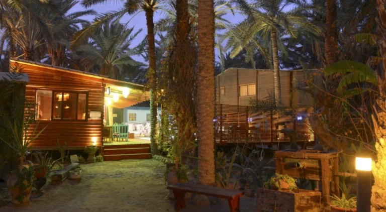 L'Exploration Sans Compromis Découvrir le Sahara Tunisien Le Sahara tunisien est un véritable trésor naturel, bien plus qu'un simple désert de sable infini. Il regorge de merveilles à découvrir. Chez SudTunisie.com, nous vous invitons à vivre une aventure inoubliable et authentique, loin du tumulte de la vie quotidienne. L'Accessibilité d'un Devis en Ligne Facilité et Rapidité Chez SudTunisie.com, nous comprenons l'importance de la simplicité et de la rapidité dans votre processus de planification de voyage. Notre outil de devis en ligne vous permet d'obtenir rapidement et facilement une estimation personnalisée pour votre aventure dans le Sahara tunisien. Pas de tracas, pas d'attente, juste l'accessibilité à portée de clic. Un Voyage sur Mesure Personnalisation de Votre Expérience Chaque voyageur est unique, c'est pourquoi nous vous offrons la possibilité de personnaliser votre expérience selon vos préférences. Que vous souhaitiez une escapade aventureuse, une immersion culturelle ou une détente totale, nous vous proposons des options adaptées pour créer votre aventure idéale dans le Sahara tunisien. Des Informations Précieuses Des Détails Clairvoyants Au-delà du devis, nous mettons à votre disposition toutes les informations nécessaires pour rendre votre expérience aussi transparente que possible. Des détails sur les itinéraires, les hébergements, les activités et les conseils pratiques vous aideront à planifier un voyage mémorable, sans surprises désagréables. Conclusion Chez SudTunisie.com, notre objectif est de rendre votre exploration du Sahara tunisien aussi accessible et personnalisée que possible. Obtenez votre devis gratuit en ligne dès aujourd'hui et préparez-vous à vivre une aventure inoubliable dans l'un des endroits les plus captivants de la planète.