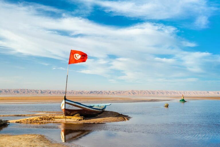 Vous cherchez une expérience de voyage authentique et dépaysante ? Le Sud de la Tunisie regorge de trésors à explorer, offrant des paysages à couper le souffle et des expériences uniques. Dunes de sable infinies, balades à dos de chameaux, oasis mystiques... Voici tout ce que vous devez savoir sur cette aventure inoubliable que propose www.sudtunisie.com. Plongée dans le Monde Fascinant des Dunes de Sable Le Sud de la Tunisie, ancré au cœur du Sahara, est réputé pour ses dunes majestueuses qui s'étendent à perte de vue. Ces paysages immenses et envoûtants invitent à l'émerveillement. Laissez-vous transporter par la beauté brute de ces dunes de sable qui évoluent au gré du vent, offrant des panoramas changeants à chaque instant. Une occasion parfaite pour des clichés mémorables ! Une Balade Inoubliable à Dos de Chameaux Quoi de mieux pour explorer le désert que de sillonner les dunes à dos de chameaux ? Cette expérience authentique vous transporte dans un autre monde, hors du temps. Accompagné d'un guide expérimenté, laissez-vous bercer par le pas tranquille de ces animaux fascinants et imprégnez-vous de la quiétude du Sahara. La Magie des Oasis Cachées Les oasis disséminées dans le désert tunisien sont de véritables joyaux verdoyants au milieu de ce paysage aride. Ces points d'eau offrent une vie florissante avec leurs palmiers, leurs bassins naturels et leurs habitations traditionnelles. Une pause bienvenue pour se ressourcer et découvrir la culture locale, entre hospitalité et traditions ancestrales. La Signature de www.sudtunisie.com Pour vivre pleinement cette aventure, www.sudtunisie.com offre des circuits sur mesure, adaptés à vos envies et besoins. Des guides locaux passionnés vous accompagnent pour vous faire découvrir les trésors cachés du Sud tunisien, garantissant une expérience authentique et sécurisée.  Un Voyage Inoubliable en Perspective Le Sud de la Tunisie est une destination fascinante, où l'aventure et la découverte sont au rendez-vous. Entre dunes de sable à perte de vue, balades en chameaux et oasis mystiques, cette escapade est une immersion totale dans la beauté brute du Sahara. Avec www.sudtunisie.com, plongez au cœur de cette expérience unique et laissez-vous emporter par la magie de ces paysages envoûtants.