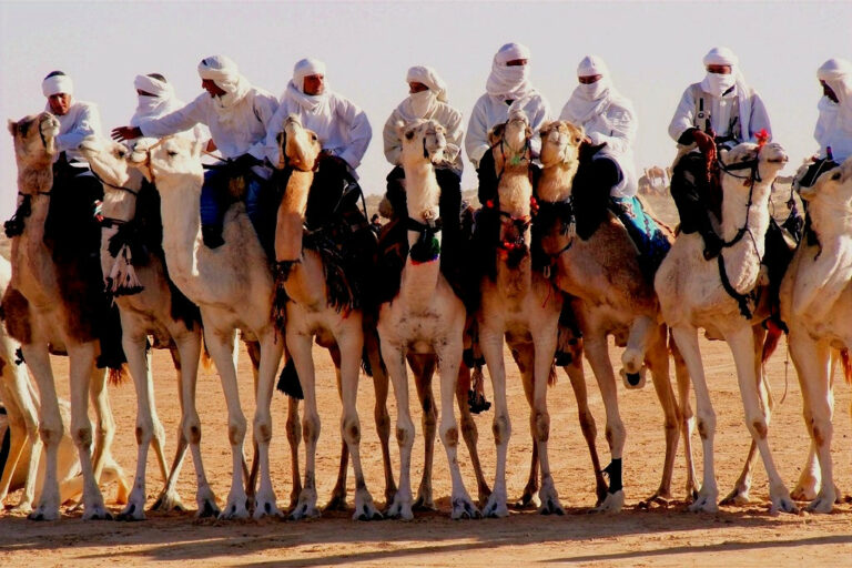 Bienvenue dans l'univers envoûtant du Sud Sahara tunisien, une terre où l'histoire, la beauté naturelle et l'aventure se rencontrent. Explorez les secrets des dunes de sable, vivez une balade épique à dos de chameau et découvrez des oasis à couper le souffle avec www.sudtunisie.com. Les Dunes de Sable: Un Spectacle Naturel Éblouissant Les dunes de sable du Sud Sahara tunisien sont bien plus qu'un simple paysage. Elles incarnent la majesté de la nature dans toute sa splendeur. Imaginez des étendues infinies de sable doré se fondant dans l'horizon, créant des formations uniques et changeantes au gré du vent. La lumière du soleil caressant les dunes crée des jeux d'ombre et de lumière, offrant un spectacle visuel inoubliable à chaque pas. Balade à Dos de Chameau: Une Aventure Immersive Rien ne vous rapproche plus du cœur du désert que de chevaucher un chameau. Laissez-vous transporter à travers les dunes, immergé dans l'atmosphère paisible et sereine du Sahara. L'expérience de la balade à dos de chameau vous permet de ressentir la sérénité du désert tout en admirant le panorama à perte de vue. C'est une occasion unique de connecter avec la nature et de vivre une expérience authentique. Les Oasis: Joyaux Verdoyants au Milieu du Désert Les oasis, véritables joyaux cachés, émergent telles des oasis de fraîcheur au cœur du désert aride. Ces havres de verdure sont un véritable régal pour les yeux et l'âme. Entourées de palmiers majestueux et de sources d'eau cristalline, les oasis offrent un contraste saisissant avec le paysage désertique environnant. Un moment de calme et de paix au sein de ces oasis est une expérience à ne pas manquer lors de votre voyage au Sud Sahara tunisien. Voyage avec www.sudtunisie.com: L'Expertise Locale à Votre Service Pour une exploration complète et sécurisée de cette région extraordinaire, faites confiance à www.sudtunisie.com. Notre équipe, forte d'une expertise locale, vous guide à travers des circuits soigneusement conçus pour vous offrir une expérience authentique et inoubliable. Nous nous engageons à vous fournir un service de qualité, tout en préservant la richesse naturelle et culturelle du Sud Sahara tunisien. Contactez-Nous pour Réserver Votre Aventure au Sud Sahara Tunisien Pour réserver votre circuit désert ou obtenir de plus amples informations, contactez-nous sans plus tarder à l’adresse suivante : www.sudtunisie.com. Notre équipe se fera un plaisir de répondre à toutes vos questions et de vous aider à planifier un voyage sur mesure, vous permettant de vivre une expérience inoubliable au cœur du Sud Sahara tunisien. Explorez le Sud Sahara tunisien avec www.sudtunisie.com et plongez dans une aventure à couper le souffle, entre dunes majestueuses, balades à dos de chameau et oasis envoûtantes.