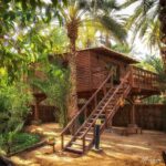 Découvrir la Magie du Camping au Sahara Tunisien Un Voyage au Cœur du Désert Le Sahara tunisien est une merveille naturelle, bien au-delà de l'étendue de sable à perte de vue. C'est un terrain de jeu pour les aventuriers en quête d'expériences authentiques. SudTunisie.com vous offre l'opportunité de plonger dans la beauté saisissante du désert et de vivre une expérience de camping exceptionnelle. L'Immersion Totale dans la Nature Paysages Époustouflants Découvrez des panoramas à couper le souffle au cœur du Sahara tunisien. Des dunes majestueuses aux nuances changeantes aux oasis verdoyantes parsemées çà et là, chaque instant est une œuvre d'art naturelle. La diversité des paysages sahariens vous promet des vues dignes de cartes postales et des souvenirs photographiques inoubliables. Camping Confortable et Authentique Partez à l'aventure en toute tranquillité avec nos équipements de camping de qualité. SudTunisie.com vous propose des tentes spacieuses et bien équipées pour une nuitée confortable sous les étoiles. Vivez l'expérience authentique du camping dans le Sahara tunisien sans compromettre votre confort. Activités Enrichissantes Aventure dans les Dunes Laissez-vous emporter par l'excitation de gravir les dunes du Sahara. Testez vos compétences en sandboard ou savourez simplement la vue depuis les hauteurs. Les moments passés à jouer avec le sable doré offrent des souvenirs inestimables et des sensations fortes pour les amateurs de défis. Rencontres Culturelles Uniques Rencontrez les habitants du désert et plongez dans leur quotidien nomade. Dégustez le thé à la menthe et partagez des histoires autour du feu de camp. Cette immersion dans la culture locale est une occasion unique de découvrir les traditions et les coutumes des habitants du désert. Conclusion Le camping dans le Sahara tunisien avec SudTunisie.com vous promet bien plus qu'une simple escapade. C'est une expérience enrichissante qui vous connecte à la nature et à la culture de manière authentique. Venez explorer le désert avec nous et créez des souvenirs inoubliables dans l'un des endroits les plus extraordinaires de la planète.