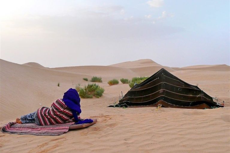 Vous cherchez une aventure excitante et enrichissante dans le Sud tunisien ? Ne cherchez pas plus loin ! Notre circuit Sud Tunisien vous offre une expérience unique qui vous permettra de découvrir la beauté, la culture et l'histoire de cette région fascinante en Tunisie. Que vous soyez un amateur de désert, un passionné d'histoire ou un voyageur en quête de nouvelles expériences, notre circuit répondra à toutes vos attentes. Circuit Sud Tunisien : Un Voyage Authentique Notre circuit Sud Tunisien de 3 jours vous emmène à travers les paysages spectaculaires du désert tunisien, où vous découvrirez des oasis cachées, des villages traditionnels et des sites historiques remarquables. Avec notre équipe d'experts locaux, vous aurez l'opportunité de plonger dans la culture berbère, d'explorer les souks animés et de savourer la délicieuse cuisine tunisienne. Excursion Sud Tunisien de 2 jours Si vous êtes limité par le temps, notre excursion de 2 jours est parfaite pour une escapade rapide dans le Sud tunisien. Vous aurez l'occasion de visiter les principaux points forts de la région, y compris le célèbre village de Chenini, le canyon de Mides et les dunes de sable de Douz. C'est une expérience compacte mais mémorable qui vous laissera des souvenirs durables. Circuit Sud Tunisien avec TravelTodo En partenariat avec TravelTodo, leader du tourisme en Tunisie, notre circuit Sud Tunisien offre un niveau de service exceptionnel et une attention personnalisée à chaque voyageur. Nous nous engageons à fournir des expériences de voyage uniques et authentiques qui dépassent les attentes de nos clients. Explorez le Désert Tunisien Un des points forts de notre circuit est l'exploration du désert tunisien. Vous aurez l'occasion de faire une excursion en 4x4 à travers les dunes de sable doré, de passer une nuit sous les étoiles dans un campement berbère traditionnel et de découvrir la magie et la tranquillité du désert de Sahara. Circuit Sud Tunisien Par Voiture avec Guide Chauffeur Pour une expérience plus personnalisée, nous proposons également des circuits privés avec un guide chauffeur professionnel. Vous aurez la liberté de personnaliser votre itinéraire selon vos intérêts et de voyager à votre propre rythme, tout en bénéficiant des connaissances locales de votre guide. Planifiez Votre Aventure dès Aujourd'hui ! Ne manquez pas l'opportunité de découvrir le Sud tunisien avec notre circuit exceptionnel. Que vous choisissiez notre circuit de 3 jours, notre excursion de 2 jours ou une expérience sur mesure, nous sommes là pour vous offrir un voyage inoubliable. Contactez-nous dès aujourd'hui pour réserver votre place et commencez à planifier votre aventure dans le Sud tunisien !