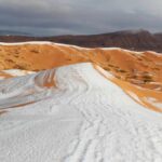 Voyager dans le sud tunisien, c'est s'immerger dans un univers où la nature et l'histoire se mêlent pour offrir des paysages époustouflants et des expériences inoubliables. Parmi les joyaux de cette région, les oasis de Tozeur et les majestueuses dunes de sable se distinguent particulièrement. Préparez-vous à une aventure hors du commun ! Tozeur : La Perle du Sud Tunisien Située à la lisière du désert du Sahara, Tozeur est une ville oasis qui fascine par sa beauté et son histoire. Elle est réputée pour ses vastes palmeraies, ses constructions en briques d'argile et ses ruelles pittoresques. Une Palmeraie Luxuriante La palmeraie de Tozeur est l'une des plus grandes de Tunisie, avec plus de 400 000 palmiers. En vous promenant parmi les dattiers, vous découvrirez des canaux d'irrigation traditionnels appelés "seguias", qui témoignent d'un savoir-faire ancestral en matière de gestion de l'eau. Ne manquez pas de déguster les fameuses dattes de Tozeur, parmi les meilleures au monde ! Un Patrimoine Architectural Unique Tozeur se distingue également par son architecture unique. Les maisons et les bâtiments publics sont souvent ornés de motifs géométriques en briques d'argile. La médina de Tozeur est un véritable labyrinthe où il fait bon se perdre pour découvrir des trésors cachés, comme la mosquée Sidi Bou Aïssa et le Musée Dar Cheraït. L'Incontournable Oasis de Chebika À quelques kilomètres de Tozeur se trouve l'oasis de Chebika, un havre de paix niché au pied des montagnes de l'Atlas. Cette ancienne citadelle berbère offre des vues panoramiques à couper le souffle sur les palmeraies et les cascades. Randonnée et Découverte L'exploration de Chebika commence généralement par une randonnée à travers les sentiers escarpés qui mènent aux ruines de l'ancienne forteresse. De là, la vue sur l'oasis et le désert est tout simplement spectaculaire. La descente vers la palmeraie vous permettra de découvrir des sources naturelles et des cascades rafraîchissantes, idéales pour une pause détente. Immersion dans la Culture Berbère Chebika est également l'occasion de rencontrer des habitants locaux et de découvrir leur mode de vie traditionnel. Les artisans de l'oasis sont réputés pour leur savoir-faire en poterie et en tissage. Une visite chez un artisan est un moment privilégié pour comprendre les techniques ancestrales transmises de génération en génération. L'Expérience Magique des Dunes de Sable Le sud tunisien est célèbre pour ses vastes étendues de dunes de sable, et une visite à Tozeur ne serait pas complète sans une excursion dans le désert. Les dunes offrent un paysage changeant et fascinant, particulièrement au lever et au coucher du soleil. Balade en Chameau ou en 4x4 Pour découvrir les dunes, plusieurs options s'offrent à vous. Une balade en chameau est une expérience authentique qui vous permettra de vivre le désert à un rythme paisible, en profitant de la tranquillité des lieux. Pour les amateurs de sensations fortes, une excursion en 4x4 est l'occasion de vivre des moments d'adrénaline en dévalant les pentes de sable. Nuit sous les Étoiles Passer une nuit dans le désert est une expérience inoubliable. Les campements traditionnels offrent un confort simple mais chaleureux, avec des tentes berbères et des repas préparés sur place. La nuit tombée, le ciel s'illumine de milliers d'étoiles, offrant un spectacle époustouflant que l'on ne peut observer nulle part ailleurs. Tozeur et ses Environs : Un Voyage Inoubliable Un voyage à Tozeur et dans ses environs est une plongée dans un univers où la nature, la culture et l'histoire s'entremêlent pour offrir une expérience unique. Entre la découverte des oasis luxuriantes, l'exploration des dunes de sable et l'immersion dans la culture locale, chaque moment passé dans le sud tunisien est une invitation à l'émerveillement. En somme, Tozeur et ses alentours sont des destinations de choix pour les amoureux de la nature, les passionnés d'histoire et ceux en quête d'aventure. Préparez vos valises et laissez-vous envoûter par la magie du sud tunisien !