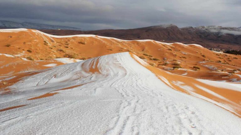 Voyager dans le sud tunisien, c'est s'immerger dans un univers où la nature et l'histoire se mêlent pour offrir des paysages époustouflants et des expériences inoubliables. Parmi les joyaux de cette région, les oasis de Tozeur et les majestueuses dunes de sable se distinguent particulièrement. Préparez-vous à une aventure hors du commun ! Tozeur : La Perle du Sud Tunisien Située à la lisière du désert du Sahara, Tozeur est une ville oasis qui fascine par sa beauté et son histoire. Elle est réputée pour ses vastes palmeraies, ses constructions en briques d'argile et ses ruelles pittoresques. Une Palmeraie Luxuriante La palmeraie de Tozeur est l'une des plus grandes de Tunisie, avec plus de 400 000 palmiers. En vous promenant parmi les dattiers, vous découvrirez des canaux d'irrigation traditionnels appelés "seguias", qui témoignent d'un savoir-faire ancestral en matière de gestion de l'eau. Ne manquez pas de déguster les fameuses dattes de Tozeur, parmi les meilleures au monde ! Un Patrimoine Architectural Unique Tozeur se distingue également par son architecture unique. Les maisons et les bâtiments publics sont souvent ornés de motifs géométriques en briques d'argile. La médina de Tozeur est un véritable labyrinthe où il fait bon se perdre pour découvrir des trésors cachés, comme la mosquée Sidi Bou Aïssa et le Musée Dar Cheraït. L'Incontournable Oasis de Chebika À quelques kilomètres de Tozeur se trouve l'oasis de Chebika, un havre de paix niché au pied des montagnes de l'Atlas. Cette ancienne citadelle berbère offre des vues panoramiques à couper le souffle sur les palmeraies et les cascades. Randonnée et Découverte L'exploration de Chebika commence généralement par une randonnée à travers les sentiers escarpés qui mènent aux ruines de l'ancienne forteresse. De là, la vue sur l'oasis et le désert est tout simplement spectaculaire. La descente vers la palmeraie vous permettra de découvrir des sources naturelles et des cascades rafraîchissantes, idéales pour une pause détente. Immersion dans la Culture Berbère Chebika est également l'occasion de rencontrer des habitants locaux et de découvrir leur mode de vie traditionnel. Les artisans de l'oasis sont réputés pour leur savoir-faire en poterie et en tissage. Une visite chez un artisan est un moment privilégié pour comprendre les techniques ancestrales transmises de génération en génération. L'Expérience Magique des Dunes de Sable Le sud tunisien est célèbre pour ses vastes étendues de dunes de sable, et une visite à Tozeur ne serait pas complète sans une excursion dans le désert. Les dunes offrent un paysage changeant et fascinant, particulièrement au lever et au coucher du soleil. Balade en Chameau ou en 4x4 Pour découvrir les dunes, plusieurs options s'offrent à vous. Une balade en chameau est une expérience authentique qui vous permettra de vivre le désert à un rythme paisible, en profitant de la tranquillité des lieux. Pour les amateurs de sensations fortes, une excursion en 4x4 est l'occasion de vivre des moments d'adrénaline en dévalant les pentes de sable. Nuit sous les Étoiles Passer une nuit dans le désert est une expérience inoubliable. Les campements traditionnels offrent un confort simple mais chaleureux, avec des tentes berbères et des repas préparés sur place. La nuit tombée, le ciel s'illumine de milliers d'étoiles, offrant un spectacle époustouflant que l'on ne peut observer nulle part ailleurs. Tozeur et ses Environs : Un Voyage Inoubliable Un voyage à Tozeur et dans ses environs est une plongée dans un univers où la nature, la culture et l'histoire s'entremêlent pour offrir une expérience unique. Entre la découverte des oasis luxuriantes, l'exploration des dunes de sable et l'immersion dans la culture locale, chaque moment passé dans le sud tunisien est une invitation à l'émerveillement. En somme, Tozeur et ses alentours sont des destinations de choix pour les amoureux de la nature, les passionnés d'histoire et ceux en quête d'aventure. Préparez vos valises et laissez-vous envoûter par la magie du sud tunisien !