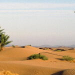 https://sudtunisie.com/devis-voyage-desert-sud-tunisie-vacances-pas-cher-tunisie-sahara-tunisie/