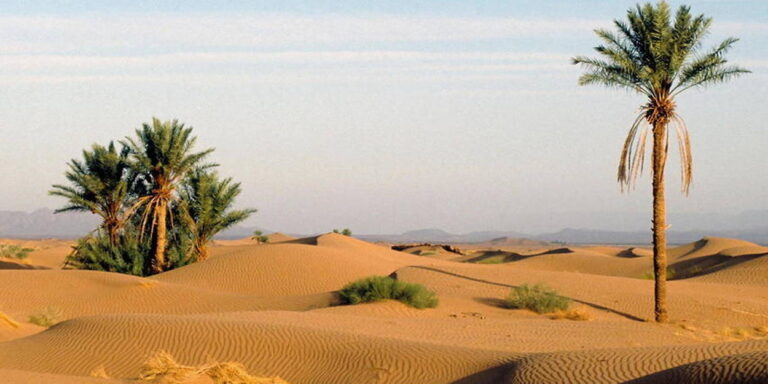 https://sudtunisie.com/devis-voyage-desert-sud-tunisie-vacances-pas-cher-tunisie-sahara-tunisie/