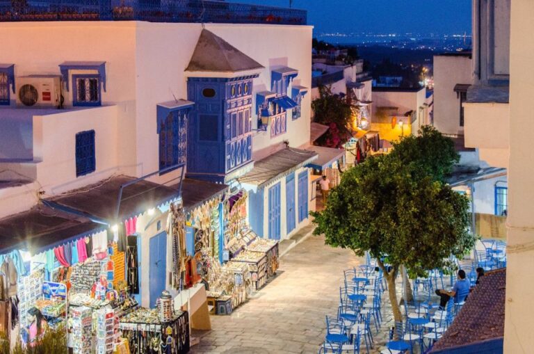 Une excursion d'une journée à Tunis, Carthage et Sidi Bou Saïd est une expérience inoubliable qui vous fera découvrir les trésors cachés de la Tunisie. Ce voyage vous permettra de plonger dans l'histoire ancienne, de vous imprégner de la culture locale et de profiter des paysages à couper le souffle. Préparez-vous à une journée remplie de découvertes, de saveurs et de moments inoubliables. Découverte de Tunis : Un mélange de modernité et de tradition Tunis, la capitale vibrante de la Tunisie, est le point de départ idéal de cette excursion. La ville offre un mélange fascinant de modernité et de tradition, avec ses quartiers anciens et ses avenues animées. Commencez votre journée par une visite de la Médina de Tunis, inscrite au patrimoine mondial de l'UNESCO. Flânez dans ses ruelles étroites, admirez les portes colorées et laissez-vous charmer par l'architecture mauresque. La Médina regorge de souks où vous pourrez acheter des souvenirs artisanaux, des épices et des bijoux. Ne manquez pas de visiter la Mosquée Zitouna, l'un des plus anciens et des plus importants monuments de la ville. Après avoir exploré la Médina, dirigez-vous vers l'avenue Habib Bourguiba, souvent comparée aux Champs-Élysées, pour découvrir une autre facette de Tunis, plus moderne et cosmopolite. Carthage : Sur les traces de l'Empire romain Après avoir exploré Tunis, il est temps de vous rendre à Carthage, située à quelques kilomètres de la capitale. Carthage est une ancienne cité phénicienne qui a joué un rôle crucial dans l'histoire de la Méditerranée. Aujourd'hui, les ruines de Carthage sont un site archéologique majeur qui attire des visiteurs du monde entier. Commencez votre visite par les thermes d'Antonin, l'un des plus grands complexes thermaux de l'Empire romain. Promenez-vous parmi les vestiges et imaginez la grandeur de cette époque. Ensuite, rendez-vous au musée de Carthage, où vous pourrez admirer une collection impressionnante d'artefacts, de mosaïques et de statues. Le musée offre une vue panoramique sur la baie de Tunis, une occasion parfaite pour prendre des photos mémorables. Ne manquez pas non plus de visiter le Tophet, un sanctuaire dédié aux divinités phéniciennes, et les ports puniques, qui témoignent de l'ingéniosité des anciens Carthaginois. Sidi Bou Saïd : Le charme intemporel du village bleu et blanc L'après-midi, direction Sidi Bou Saïd, un village pittoresque perché sur une colline surplombant la mer Méditerranée. Sidi Bou Saïd est célèbre pour ses maisons blanches aux volets bleus, ses ruelles pavées et ses bougainvilliers en fleurs. Ce village a inspiré de nombreux artistes et écrivains, et il est facile de comprendre pourquoi en se promenant dans ses rues charmantes. Commencez votre visite par la célèbre rue principale, où vous trouverez des boutiques d'artisanat, des galeries d'art et des cafés traditionnels. Arrêtez-vous au Café des Nattes pour déguster un thé à la menthe et savourer l'atmosphère paisible du village. Pour une vue imprenable sur la mer, montez jusqu'à la terrasse de l'hôtel Sidi Bou Saïd, d'où vous pourrez admirer le panorama spectaculaire. Profitez de votre temps à Sidi Bou Saïd pour visiter le Palais Ennejma Ezzahra, une somptueuse résidence construite au début du 20ème siècle par le baron Rodolphe d'Erlanger. Ce palais, aujourd'hui transformé en musée, abrite une collection exceptionnelle d'instruments de musique arabe et offre un aperçu fascinant de l'art de vivre de l'époque. Conclusion : Une journée riche en découvertes Cette excursion d'une journée à Tunis, Carthage et Sidi Bou Saïd est une aventure unique qui vous fera voyager à travers le temps et l'espace. En une seule journée, vous aurez l'occasion de découvrir la richesse historique de Carthage, la culture vibrante de Tunis et le charme pittoresque de Sidi Bou Saïd. Que vous soyez un passionné d'histoire, un amateur d'art ou simplement en quête de nouvelles expériences, ce voyage saura vous captiver et vous laisser des souvenirs impérissables. N'oubliez pas de porter des chaussures confortables, d'apporter de l'eau et de la crème solaire, et surtout, de garder l'esprit ouvert et curieux. Bonne excursion !