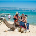 La Tunisie, ce joyau de la Méditerranée, regorge de merveilles à découvrir. Que vous soyez un passionné de culture, un amoureux de la nature ou un aventurier dans l'âme, vous trouverez en Tunisie une multitude d'excursions pour rendre votre séjour inoubliable. Voici un guide complet pour vous aider à choisir les meilleures excursions en Tunisie, avec un focus sur les prix et les expériences uniques à vivre. Excursions à Hammamet : Culture et détente au bord de la mer Découverte de la médina et des souks de Hammamet Commencez votre exploration par la visite de la médina de Hammamet. Cette ancienne ville fortifiée est un dédale de ruelles où se mêlent boutiques artisanales, cafés traditionnels et monuments historiques. Une visite guidée de la médina, incluant une balade dans les souks, coûte généralement entre 20 et 30 euros par personne. C'est l'occasion parfaite pour acheter des souvenirs uniques et déguster des spécialités locales. Excursions en bateau au large de Hammamet Pour une expérience plus détendue, optez pour une excursion en bateau. Que ce soit pour une croisière au coucher du soleil, une journée de pêche ou une séance de plongée avec tuba, les prix varient entre 40 et 60 euros pour une demi-journée. Vous pourrez ainsi profiter des eaux cristallines et du climat méditerranéen tout en découvrant la côte sous un nouvel angle. Aventures dans le désert tunisien : Excursions en 4x4 et bivouacs Expédition en 4x4 à Tozeur Tozeur, située aux portes du Sahara, est le point de départ idéal pour une aventure en 4x4. Les excursions en 4x4 à Tozeur vous emmènent à travers les dunes de sable et les oasis cachées. Vous visiterez des sites emblématiques tels que le Chott El Jerid, un immense lac salé, et les oasis de montagne. Les prix pour une journée complète d'excursion varient entre 100 et 150 euros par personne. Excursion de deux jours dans le sud tunisien avec www.sudtunisie.com Pour une immersion totale, une excursion de deux jours dans le sud tunisien est une expérience inoubliable. Organisée par www.sudtunisie.com, cette aventure vous permettra de passer la nuit dans un campement berbère, de savourer des plats traditionnels et d'assister à des spectacles locaux. Cette expérience complète coûte généralement entre 200 et 300 euros par personne, incluant le transport, les repas et l'hébergement. Excursions dans le nord de la Tunisie : Histoire et paysages verdoyants Visite de Carthage et Sidi Bou Saïd Le nord de la Tunisie est riche en histoire et en beauté naturelle. Une excursion incontournable est la visite de Carthage et Sidi Bou Saïd. Carthage, ancienne cité punique, offre des vestiges archéologiques fascinants, tandis que Sidi Bou Saïd séduit par ses maisons blanches et bleues surplombant la mer. Les excursions guidées coûtent environ 50 à 70 euros par personne, incluant le transport et les droits d'entrée. Randonnée dans le parc national de l'Ichkeul Pour les amoureux de la nature, une randonnée dans le parc national de l'Ichkeul est un must. Classé au patrimoine mondial de l'UNESCO, ce parc est célèbre pour son lac et sa diversité biologique. Les excursions guidées sont proposées à des prix allant de 30 à 50 euros par personne, et elles offrent l'occasion d'observer une faune exceptionnelle tout en profitant de paysages à couper le souffle. Excursions à Sousse : Plages et patrimoine historique Exploration de la médina de Sousse La médina de Sousse, également classée au patrimoine mondial de l'UNESCO, est un autre joyau à découvrir. Ses ruelles étroites et animées abritent la Grande Mosquée, le Ribat et de nombreux souks. Une visite guidée de la médina de Sousse coûte entre 25 et 40 euros par personne, une excellente façon de plonger dans l'histoire et la culture tunisiennes. Croisière côtière au large de Sousse Pour une pause détente, pourquoi ne pas embarquer pour une croisière au large de Sousse ? Ces excursions, qui coûtent entre 50 et 70 euros pour une demi-journée, vous permettent de découvrir la beauté de la côte tunisienne, de nager dans des eaux turquoise et de profiter du soleil méditerranéen. Conclusion Que vous choisissiez de découvrir les trésors cachés de la médina de Hammamet, de vous aventurer dans le désert en 4x4, de visiter les sites historiques du nord ou de vous détendre sur les plages de Sousse, la Tunisie offre une multitude d'excursions pour tous les goûts et tous les budgets. En planifiant à l'avance et en sélectionnant les excursions qui vous correspondent, vous êtes assuré de vivre des expériences inoubliables et enrichissantes. Profitez pleinement de votre séjour en Tunisie en explorant tout ce que ce merveilleux pays a à offrir.