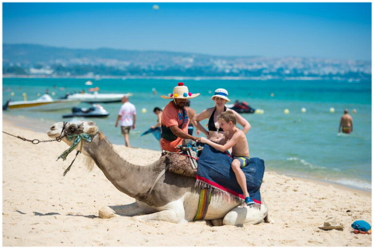 La Tunisie, ce joyau de la Méditerranée, regorge de merveilles à découvrir. Que vous soyez un passionné de culture, un amoureux de la nature ou un aventurier dans l'âme, vous trouverez en Tunisie une multitude d'excursions pour rendre votre séjour inoubliable. Voici un guide complet pour vous aider à choisir les meilleures excursions en Tunisie, avec un focus sur les prix et les expériences uniques à vivre. Excursions à Hammamet : Culture et détente au bord de la mer Découverte de la médina et des souks de Hammamet Commencez votre exploration par la visite de la médina de Hammamet. Cette ancienne ville fortifiée est un dédale de ruelles où se mêlent boutiques artisanales, cafés traditionnels et monuments historiques. Une visite guidée de la médina, incluant une balade dans les souks, coûte généralement entre 20 et 30 euros par personne. C'est l'occasion parfaite pour acheter des souvenirs uniques et déguster des spécialités locales. Excursions en bateau au large de Hammamet Pour une expérience plus détendue, optez pour une excursion en bateau. Que ce soit pour une croisière au coucher du soleil, une journée de pêche ou une séance de plongée avec tuba, les prix varient entre 40 et 60 euros pour une demi-journée. Vous pourrez ainsi profiter des eaux cristallines et du climat méditerranéen tout en découvrant la côte sous un nouvel angle. Aventures dans le désert tunisien : Excursions en 4x4 et bivouacs Expédition en 4x4 à Tozeur Tozeur, située aux portes du Sahara, est le point de départ idéal pour une aventure en 4x4. Les excursions en 4x4 à Tozeur vous emmènent à travers les dunes de sable et les oasis cachées. Vous visiterez des sites emblématiques tels que le Chott El Jerid, un immense lac salé, et les oasis de montagne. Les prix pour une journée complète d'excursion varient entre 100 et 150 euros par personne. Excursion de deux jours dans le sud tunisien avec www.sudtunisie.com Pour une immersion totale, une excursion de deux jours dans le sud tunisien est une expérience inoubliable. Organisée par www.sudtunisie.com, cette aventure vous permettra de passer la nuit dans un campement berbère, de savourer des plats traditionnels et d'assister à des spectacles locaux. Cette expérience complète coûte généralement entre 200 et 300 euros par personne, incluant le transport, les repas et l'hébergement. Excursions dans le nord de la Tunisie : Histoire et paysages verdoyants Visite de Carthage et Sidi Bou Saïd Le nord de la Tunisie est riche en histoire et en beauté naturelle. Une excursion incontournable est la visite de Carthage et Sidi Bou Saïd. Carthage, ancienne cité punique, offre des vestiges archéologiques fascinants, tandis que Sidi Bou Saïd séduit par ses maisons blanches et bleues surplombant la mer. Les excursions guidées coûtent environ 50 à 70 euros par personne, incluant le transport et les droits d'entrée. Randonnée dans le parc national de l'Ichkeul Pour les amoureux de la nature, une randonnée dans le parc national de l'Ichkeul est un must. Classé au patrimoine mondial de l'UNESCO, ce parc est célèbre pour son lac et sa diversité biologique. Les excursions guidées sont proposées à des prix allant de 30 à 50 euros par personne, et elles offrent l'occasion d'observer une faune exceptionnelle tout en profitant de paysages à couper le souffle. Excursions à Sousse : Plages et patrimoine historique Exploration de la médina de Sousse La médina de Sousse, également classée au patrimoine mondial de l'UNESCO, est un autre joyau à découvrir. Ses ruelles étroites et animées abritent la Grande Mosquée, le Ribat et de nombreux souks. Une visite guidée de la médina de Sousse coûte entre 25 et 40 euros par personne, une excellente façon de plonger dans l'histoire et la culture tunisiennes. Croisière côtière au large de Sousse Pour une pause détente, pourquoi ne pas embarquer pour une croisière au large de Sousse ? Ces excursions, qui coûtent entre 50 et 70 euros pour une demi-journée, vous permettent de découvrir la beauté de la côte tunisienne, de nager dans des eaux turquoise et de profiter du soleil méditerranéen. Conclusion Que vous choisissiez de découvrir les trésors cachés de la médina de Hammamet, de vous aventurer dans le désert en 4x4, de visiter les sites historiques du nord ou de vous détendre sur les plages de Sousse, la Tunisie offre une multitude d'excursions pour tous les goûts et tous les budgets. En planifiant à l'avance et en sélectionnant les excursions qui vous correspondent, vous êtes assuré de vivre des expériences inoubliables et enrichissantes. Profitez pleinement de votre séjour en Tunisie en explorant tout ce que ce merveilleux pays a à offrir.