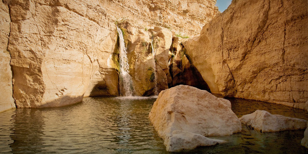 Le Sud Tunisien est une destination magique à découvrir en hiver. Avec ses paysages variés, ses traditions riches et son accueil chaleureux, c'est l'endroit idéal pour une aventure hors du commun. Cet hiver 2024, profitez des promotions exceptionnelles sur les hôtels et vivez une expérience unique en logeant sous tente à la belle étoile. Séjournez dans les Meilleurs Hôtels du Sud Tunisien Pour ceux qui préfèrent le confort d'un hôtel, le Sud Tunisien propose une large gamme d'établissements de qualité. Que vous recherchiez un hôtel de luxe à Tozeur ou un charmant boutique-hôtel à Douz, vous trouverez l'hébergement parfait pour vos vacances d'hiver. Tozeur : Entre Confort et Authenticité Tozeur, avec son architecture traditionnelle et ses oasis luxuriantes, est une escale incontournable. Les hôtels de Tozeur offrent un mélange parfait entre confort moderne et charme local. Imaginez-vous vous réveiller avec une vue imprenable sur les palmeraies, avant de partir explorer les ruelles pittoresques de la ville. Douz : La Porte du Désert Douz, souvent appelée la porte du désert, est le point de départ idéal pour les excursions dans le Sahara. Les hôtels à Douz sont connus pour leur hospitalité et leur cadre enchanteur. En hiver, la température est idéale pour profiter des activités en plein air sans souffrir de la chaleur écrasante de l'été. Circuits Inoubliables dans le Sud Tunisien Pour les aventuriers, rien de tel qu'un circuit dans le sud tunisien pour découvrir les merveilles de la région. Des excursions en 4x4 aux promenades à dos de chameau, les options sont nombreuses et variées. Excursions en 4x4 : Adrénaline et Paysages à Couper le Souffle Les excursions en 4x4 sont parfaites pour explorer les zones les plus reculées et spectaculaires du Sud Tunisien. Parcourez les dunes de sable doré, visitez les villages berbères et admirez les paysages lunaires du Chott El Jerid. Chaque circuit est une aventure unique, riche en découvertes et en émotions. Balades à Dos de Chameau : Une Expérience Authentique Pour une immersion totale dans la culture locale, optez pour une balade à dos de chameau. Suivez les anciennes routes des caravanes, traversez les dunes et passez la nuit dans un campement traditionnel. Sous le ciel étoilé du désert, vous vivrez des moments inoubliables, loin de l'agitation de la vie quotidienne. Vivez une Nuit Magique sous Tente à la Belle Étoile Une des expériences les plus marquantes que vous pouvez vivre dans le Sud Tunisien est de passer une nuit sous tente, à la belle étoile. Les campements sont équipés de tout le confort nécessaire pour une nuit agréable tout en conservant l'authenticité d'une nuit en plein désert. Campements Confortables et Bien Équipés Les tentes sont spacieuses et confortables, souvent équipées de lits douillets et de couvertures chaudes pour vous protéger du froid nocturne. Les campements proposent également des sanitaires propres et des espaces communs où vous pourrez partager des repas traditionnels autour d'un feu de camp. Sous le Ciel Étoilé : Un Spectacle Naturel Grandiose Loin de toute pollution lumineuse, le désert offre un spectacle nocturne époustouflant. Les étoiles brillent de mille feux, et vous pourrez contempler la voie lactée dans toute sa splendeur. C'est une expérience méditative et apaisante, qui vous reconnecte à la nature et à vous-même. Profitez des Promotions Hiver 2024 Cet hiver 2024, de nombreuses promotions sont disponibles pour rendre votre séjour encore plus agréable. Que ce soit des réductions sur les nuitées en hôtel, des offres spéciales sur les circuits ou des tarifs préférentiels pour les séjours sous tente, il y a forcément une promotion qui correspond à vos envies et à votre budget. Réservez dès Maintenant pour Bénéficier des Meilleures Offres Les promotions sont souvent limitées dans le temps, alors n'attendez pas pour réserver votre séjour. Consultez notre site et contactez nous pour réservez directement votre hôtels et campements pour profiter des meilleures offres disponibles. Le Sud Tunisien en hiver est une destination de choix pour ceux qui recherchent dépaysement, aventure et authenticité. Entre les hébergements de qualité, les circuits inoubliables et les nuits sous les étoiles, vous vivrez des moments exceptionnels et créerez des souvenirs impérissables. Alors, qu'attendez-vous pour partir à la découverte de ce joyau du désert ?