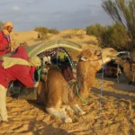 L'hiver approche et vous rêvez d'évasion ? Pourquoi ne pas découvrir le Sud Tunisien, une région fascinante avec ses paysages époustouflants et ses traditions riches ? Avec www.sudtunisie.com, vous pouvez organiser des vacances sur mesure, incluant des excursions privées inoubliables. Préparez-vous à vivre une aventure exceptionnelle dans le désert tunisien ! Le Sud Tunisien : Une Destination Unique pour l'Hiver Le Sud Tunisien est une destination de choix pour ceux qui cherchent à échapper au froid hivernal et à se plonger dans une ambiance chaleureuse et dépaysante. Entre dunes dorées, oasis verdoyantes et villages traditionnels, cette région offre une multitude de paysages à explorer. Découverte de Tozeur et ses Palmeraies Tozeur est souvent la première étape d'un voyage dans le Sud Tunisien. Connue pour ses palmeraies et son architecture en briques de terre, la ville est un véritable joyau. Promenez-vous dans les ruelles étroites, visitez les musées locaux et laissez-vous charmer par l'atmosphère paisible de cette oasis. Douz : La Porte du Désert Douz, surnommée la porte du désert, est un point de départ idéal pour des excursions dans le Sahara. Ici, vous pouvez vivre l'expérience authentique d'une balade à dos de chameau, traverser les dunes et découvrir la vie nomade. Les paysages autour de Douz sont tout simplement spectaculaires. Excursions Privées : Une Expérience Inoubliable www.sudtunisie.com propose des excursions privées pour une immersion totale dans la beauté du désert. Que vous soyez en quête d'aventure ou de détente, ces circuits sont conçus pour répondre à toutes vos attentes. Aventure en 4x4 : Explorez le Sahara Partez à l'aventure en 4x4 et découvrez les coins les plus reculés du Sahara. Conduire à travers les dunes, visiter les villages berbères et admirer les panoramas époustouflants sont au programme. Ces excursions offrent une dose d'adrénaline et une découverte approfondie de la culture locale. Randonnée à Dos de Chameau : Une Plongée dans la Tradition Pour une expérience encore plus immersive, essayez une randonnée à dos de chameau. Suivez les anciennes routes des caravanes et passez la nuit dans un campement traditionnel. Sous le ciel étoilé, vous vivrez des moments de pure magie, entouré par le silence du désert. Séjournez dans des Hébergements Confortables et Authentiques Lors de votre séjour, profitez des hébergements proposés par www.sudtunisie.com, alliant confort moderne et charme traditionnel. Que vous optiez pour un hôtel de luxe ou un campement sous tente, chaque option est pensée pour vous offrir une expérience unique. Hôtels de Luxe à Tozeur et Douz Les hôtels de Tozeur et Douz sont réputés pour leur confort et leur hospitalité. Dotés de toutes les commodités modernes, ces établissements vous garantissent un séjour agréable. Vous pourrez vous détendre dans des chambres spacieuses, déguster des plats délicieux et profiter de services haut de gamme. Logement sous Tente : Une Nuit à la Belle Étoile Pour une expérience authentique, passez une nuit sous tente dans le désert. Les campements sont équipés de lits confortables et de tout le nécessaire pour une nuit agréable. Le clou du spectacle ? Le ciel étoilé du désert, offrant un panorama à couper le souffle. Pourquoi Choisir www.sudtunisie.com pour vos Vacances d'Hiver ? Des Offres Sur Mesure pour Tous les Budgets www.sudtunisie.com propose une large gamme d'offres adaptées à tous les budgets. Que vous souhaitiez un séjour luxueux ou une aventure plus rustique, vous trouverez forcément une option qui correspond à vos envies. De plus, les promotions hivernales rendent ces offres encore plus attractives. Un Service Client Dédié et Attentionné L'équipe de www.sudtunisie.com est à votre disposition pour vous aider à organiser le voyage de vos rêves. Du choix des hébergements aux excursions personnalisées, tout est fait pour que votre séjour soit parfait. N'hésitez pas à les contacter pour toute question ou demande spécifique. Une Expérience Authentique et Mémorable En choisissant www.sudtunisie.com, vous optez pour une expérience authentique et mémorable. Chaque circuit, chaque hébergement est sélectionné avec soin pour vous offrir le meilleur du Sud Tunisien. Vous repartirez avec des souvenirs impérissables et l'envie de revenir découvrir encore plus cette magnifique région. Le Sud Tunisien est une destination idéale pour des vacances d'hiver dépaysantes et enrichissantes. Entre ses paysages variés, ses traditions vivantes et son accueil chaleureux, vous y trouverez tout ce dont vous avez besoin pour des vacances réussies. Alors, qu'attendez-vous ? Réservez dès maintenant avec www.sudtunisie.com et préparez-vous à vivre une aventure unique au cœur du désert tunisien !